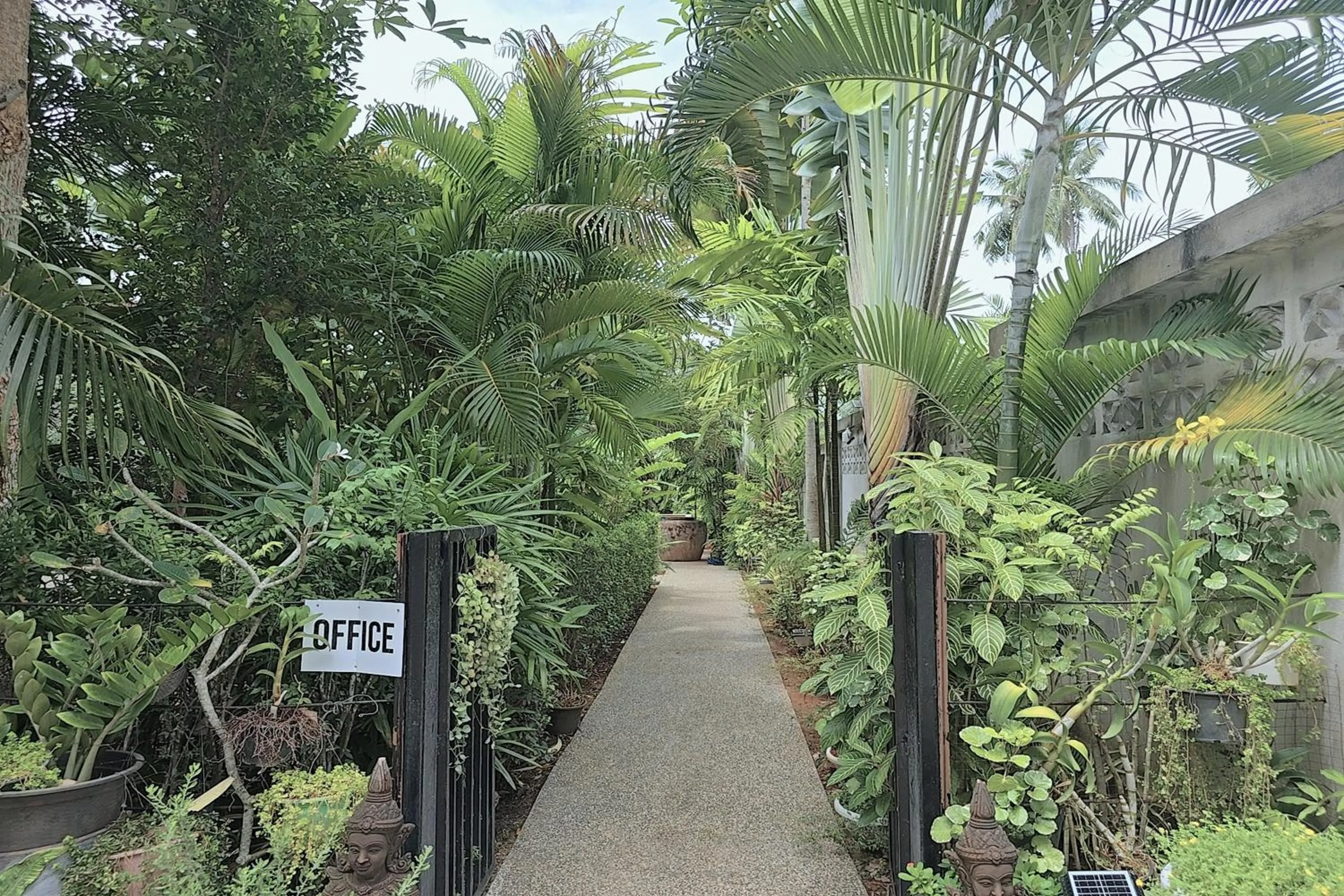 Garden in Aonangstudio