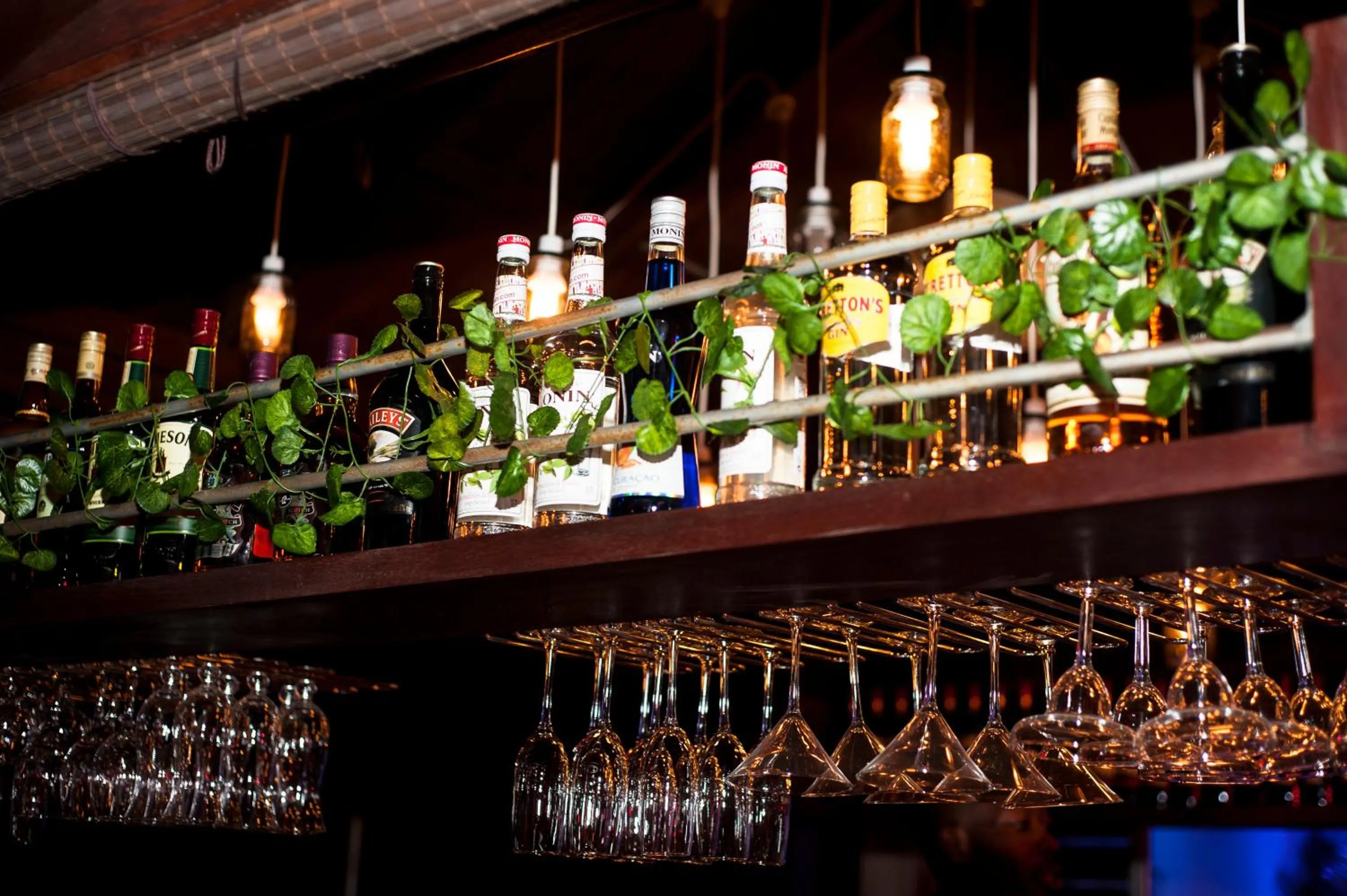 Lounge or bar in Tropical Enclave Hotel