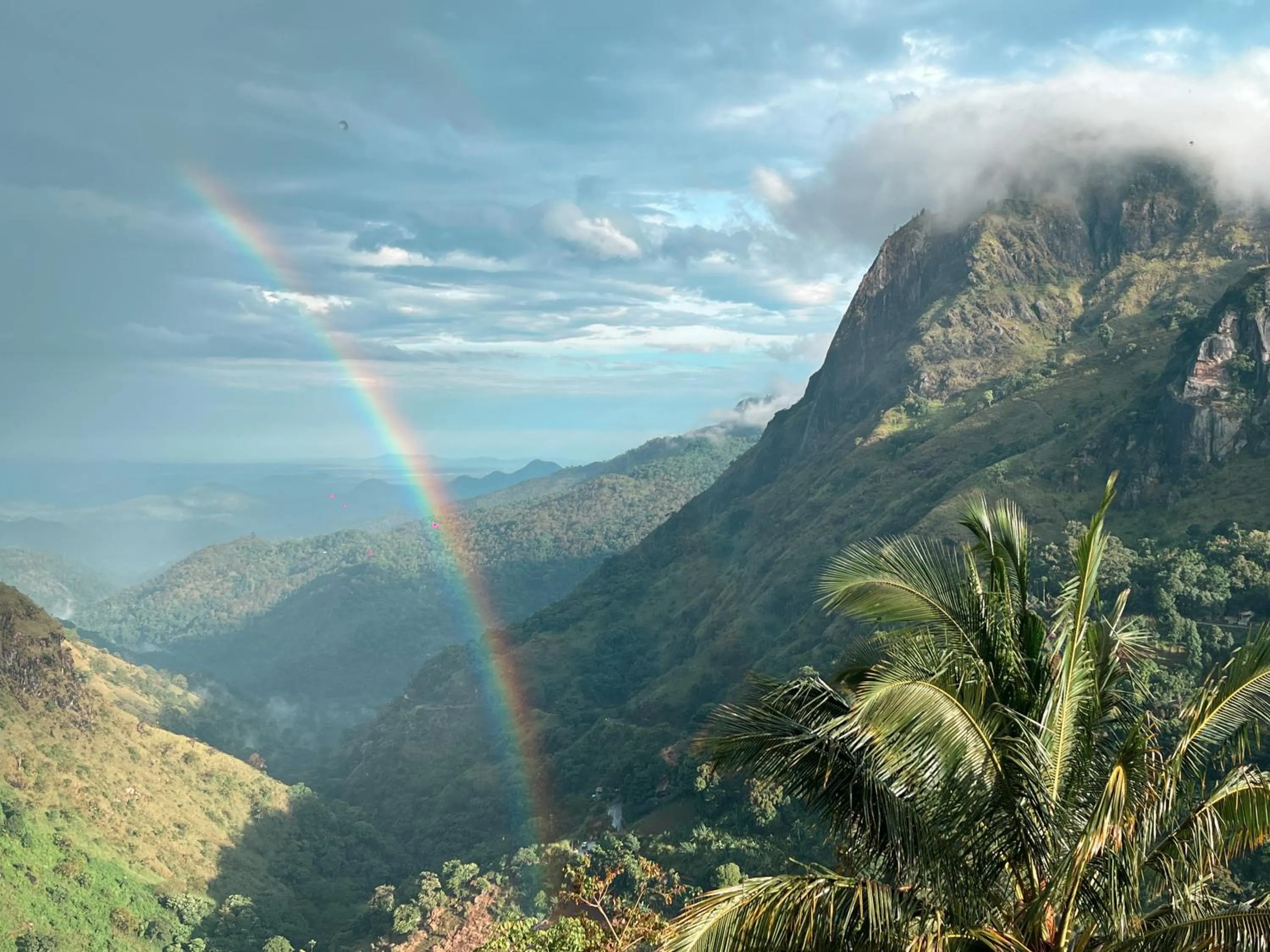 View (from property/room) in Green Hill