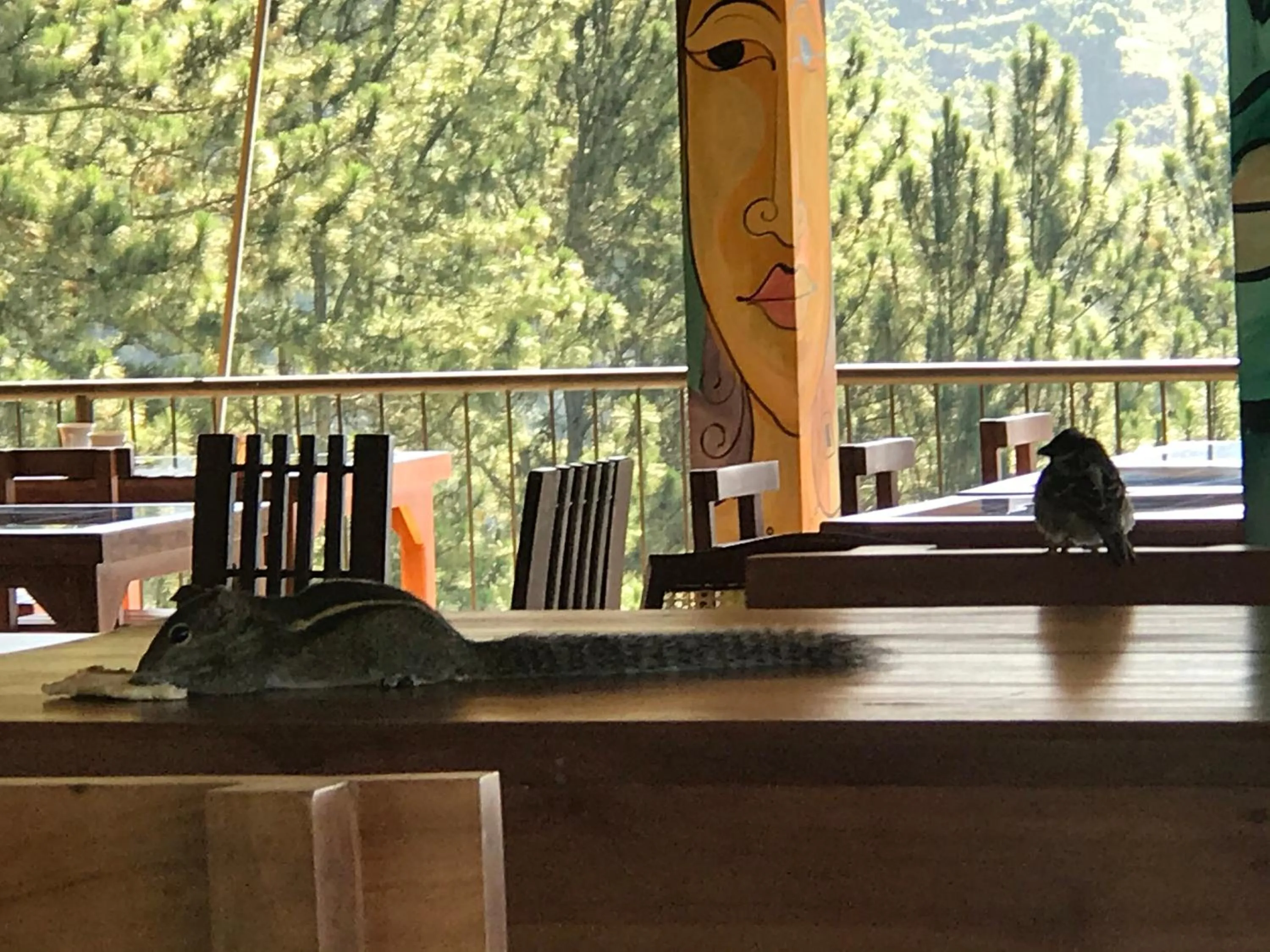 Natural landscape in Green Hill