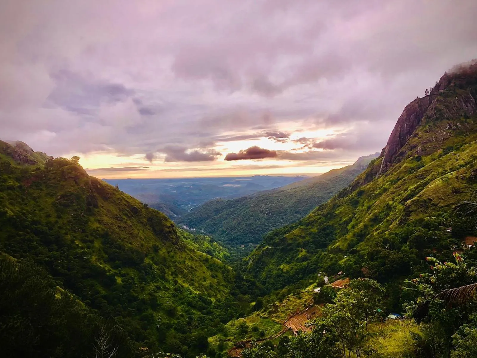 Natural landscape in Green Hill