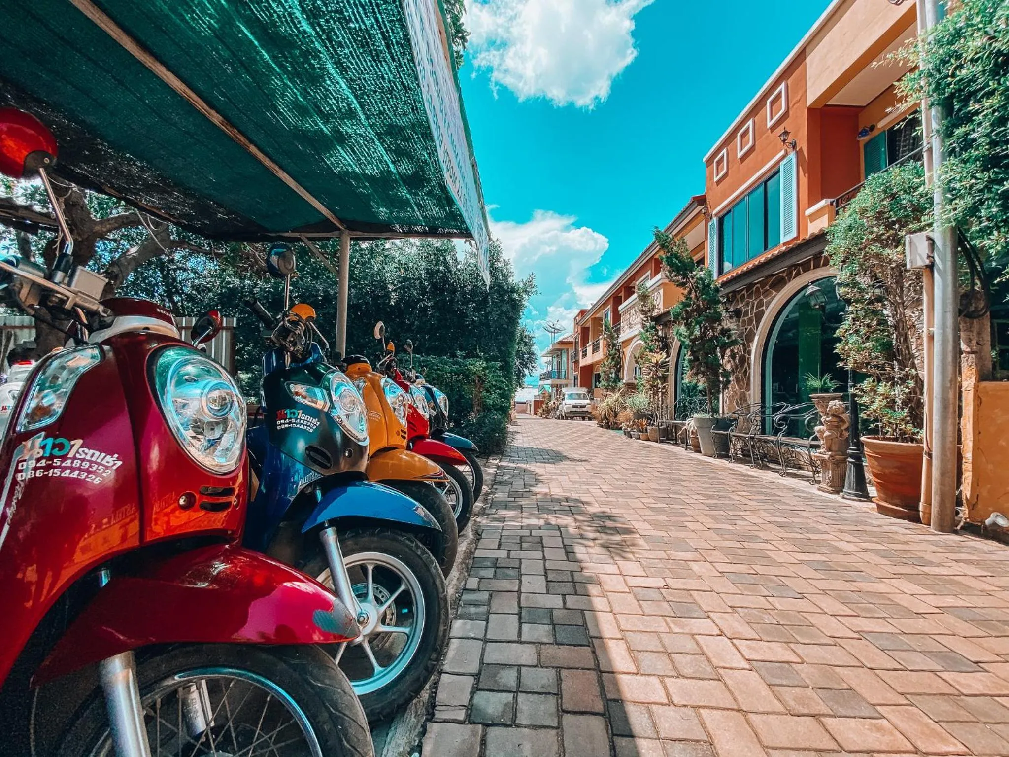 Neighbourhood in The Castello Resort