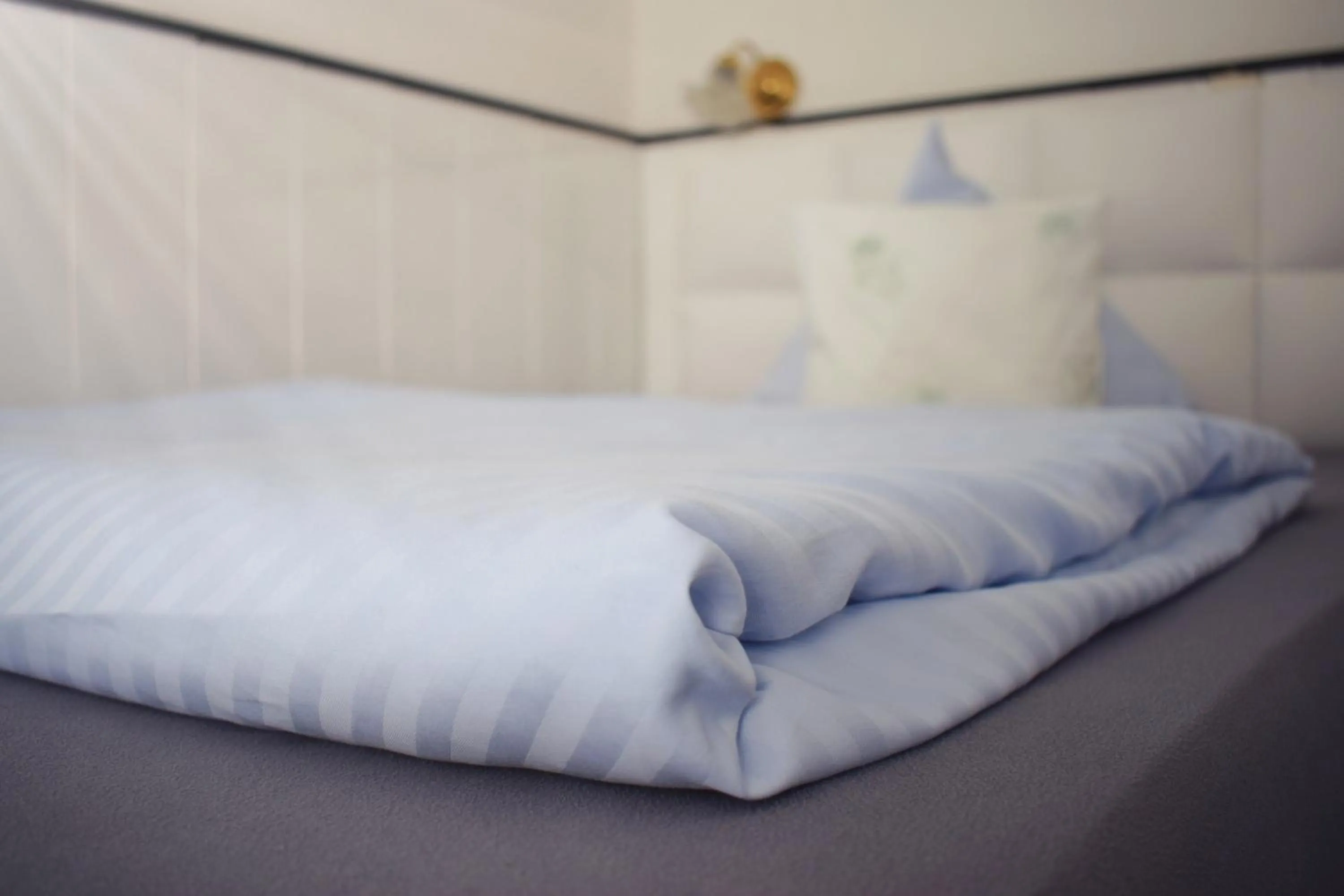 Bed in Hotel zum Goldenen Wagen