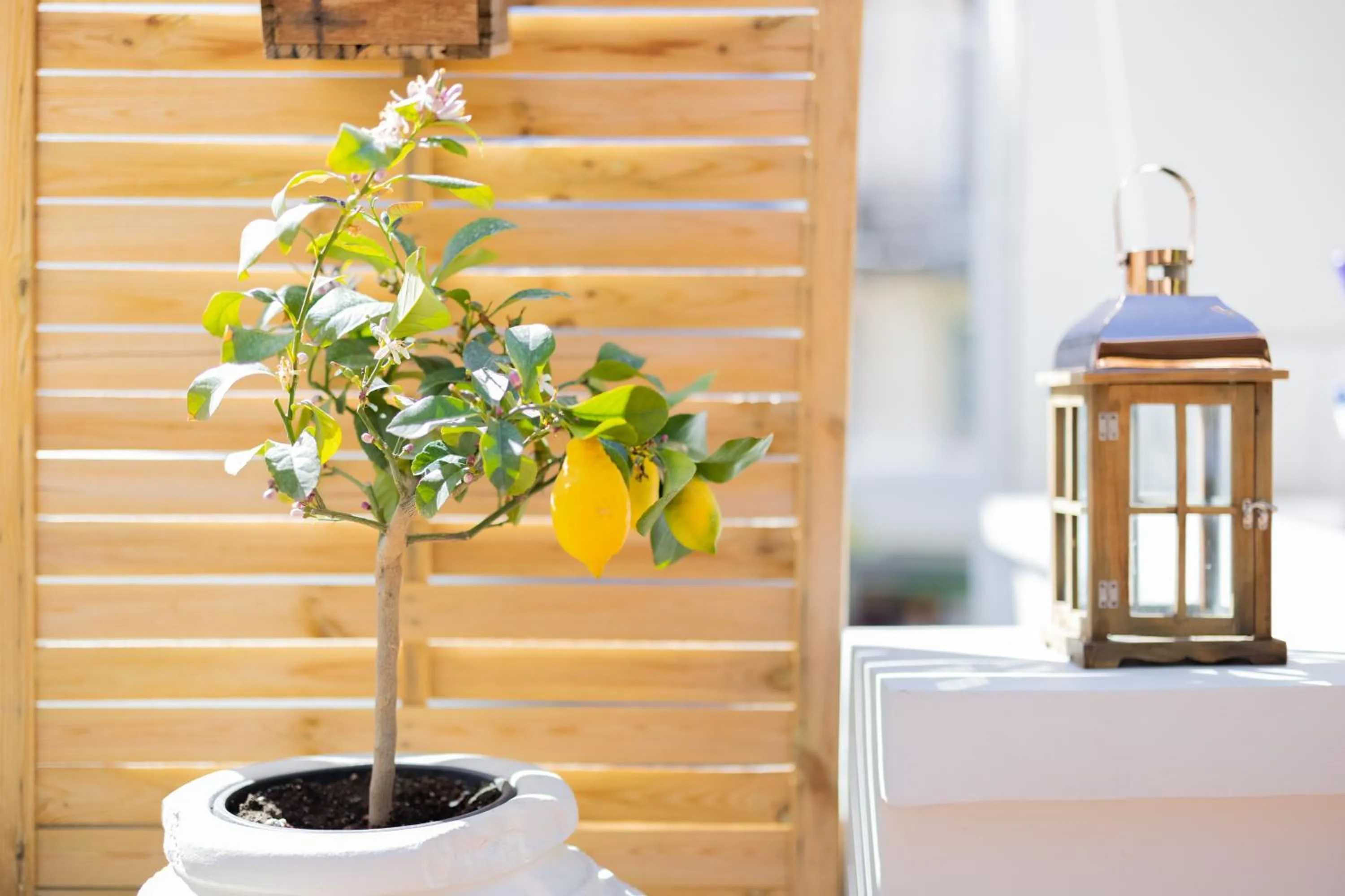 Day in 999 Luxury Hotel