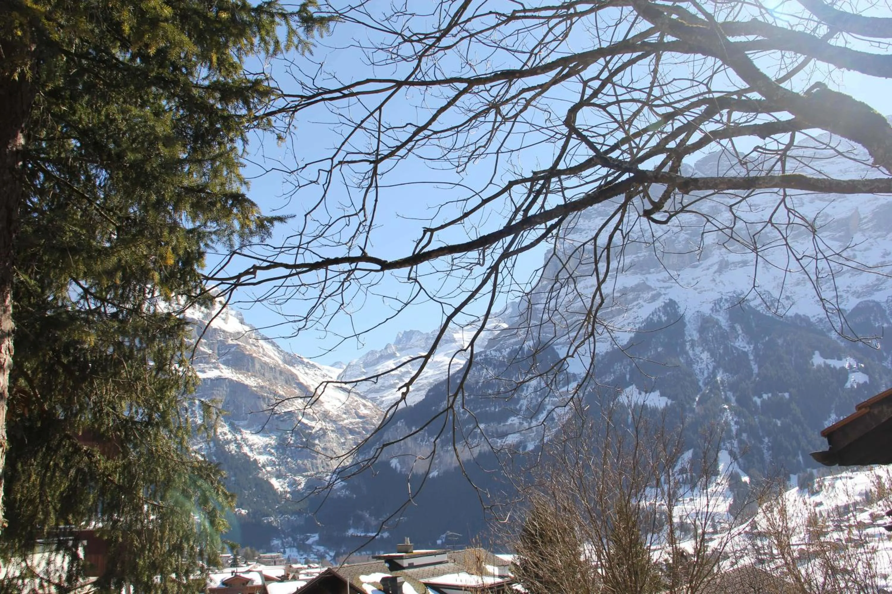 LODGE - Elements Lodge