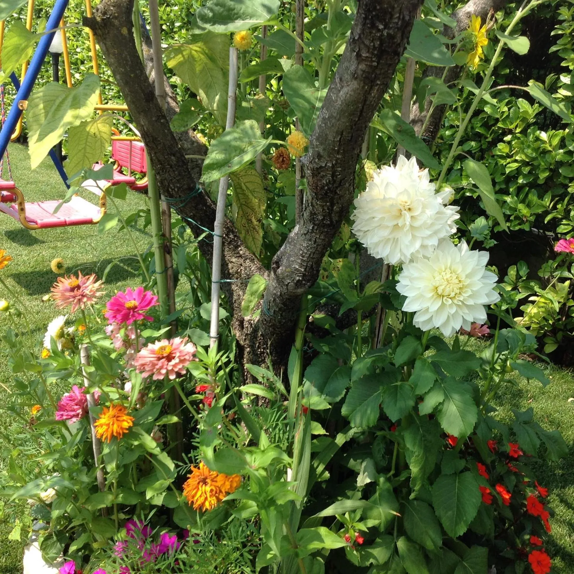 Garden view in G&G Bed&Breakfast and apartments