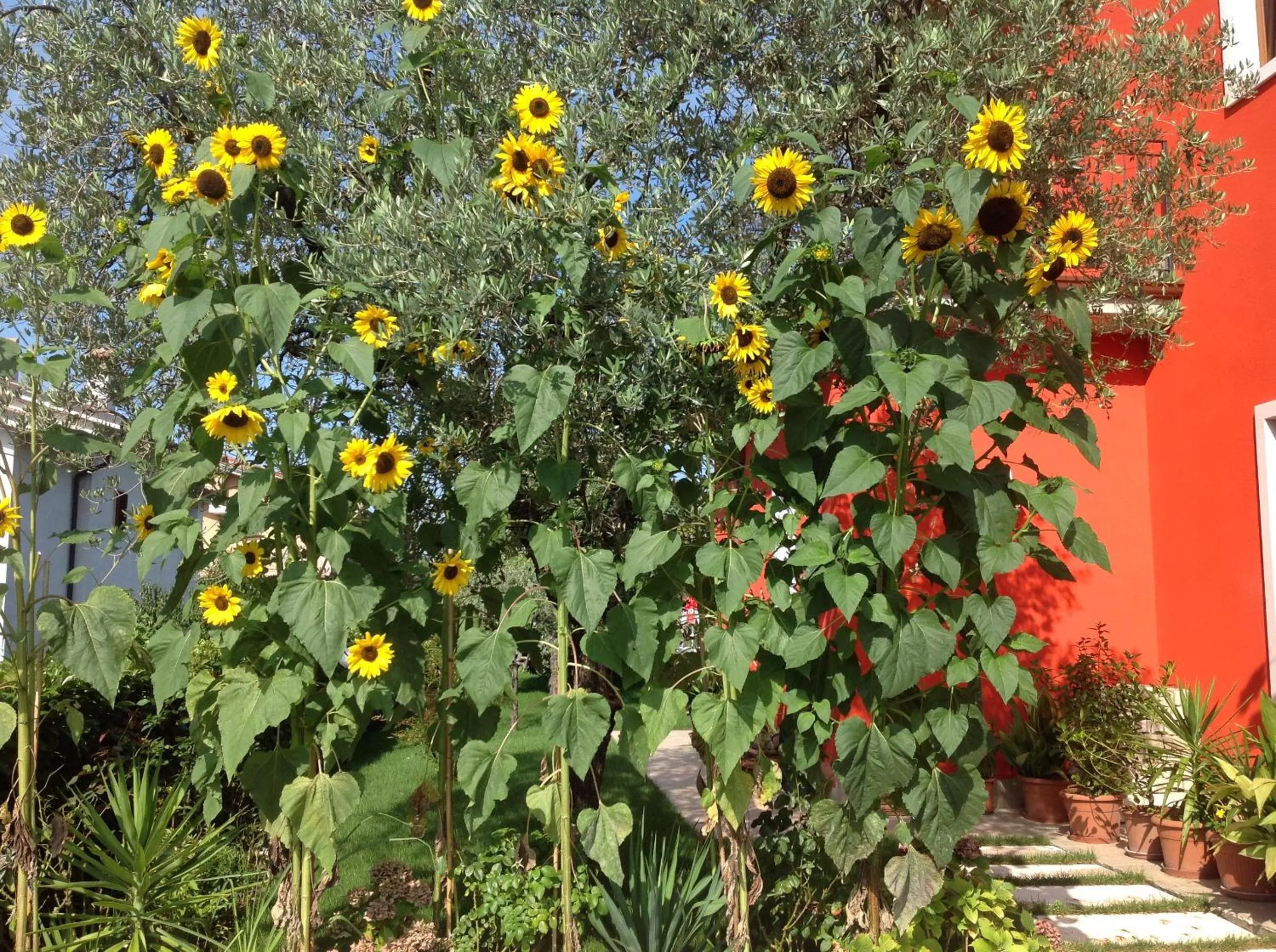 Property building in G&G Bed&Breakfast and apartments