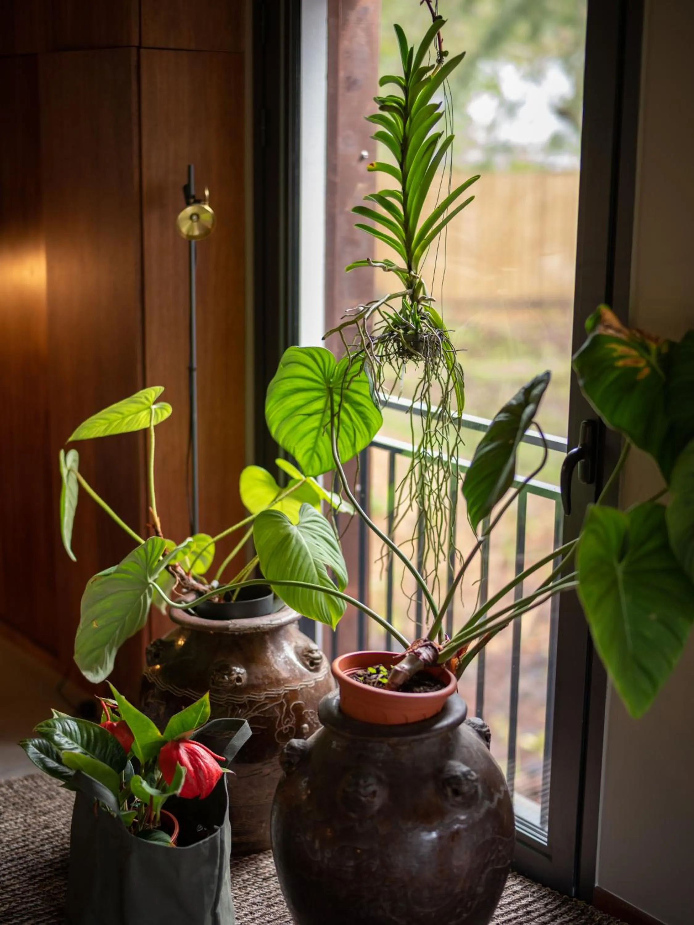 Living room in Hôtel le Tuit-Tuit