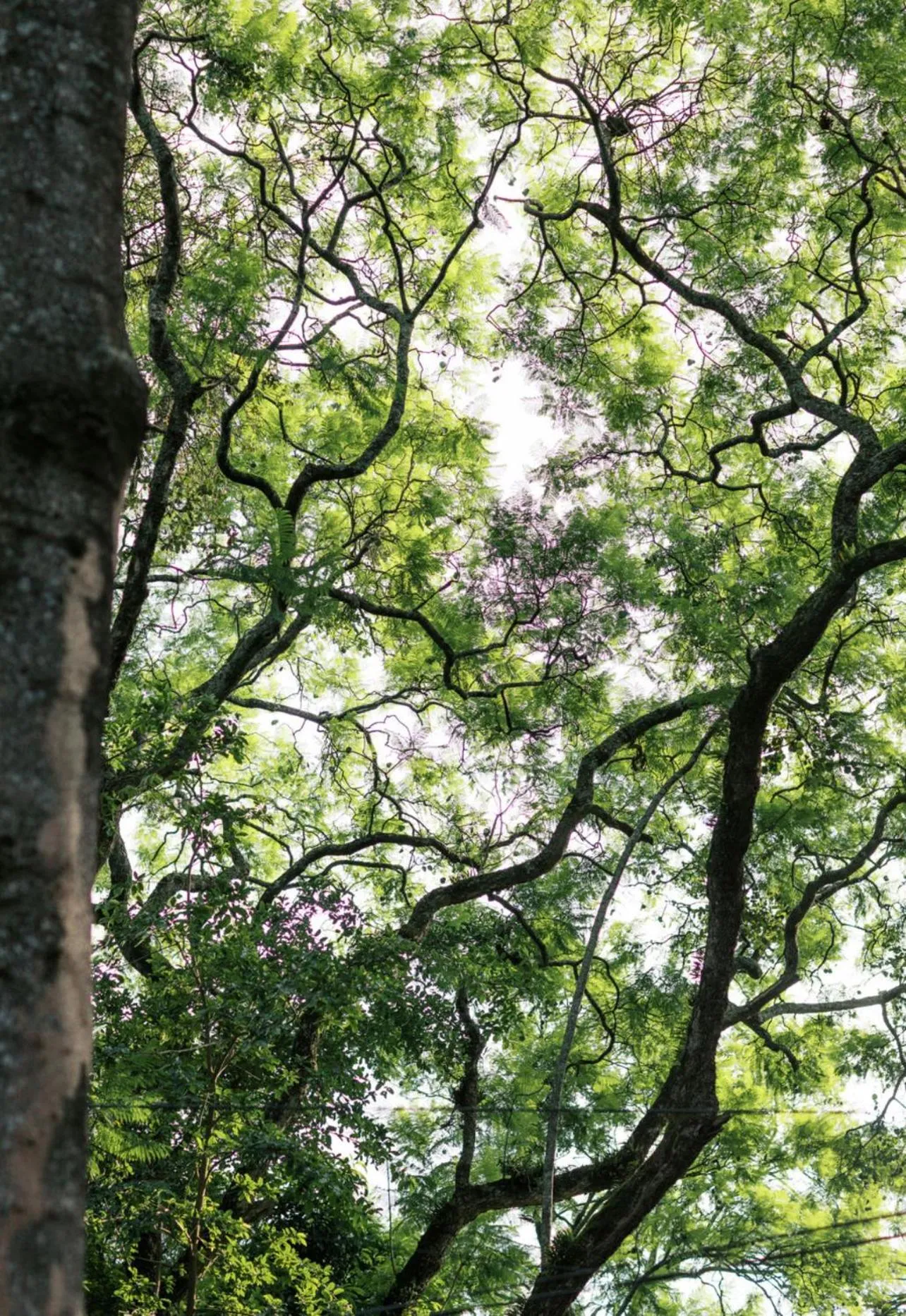 Tulia Boutique Hotel & Spa