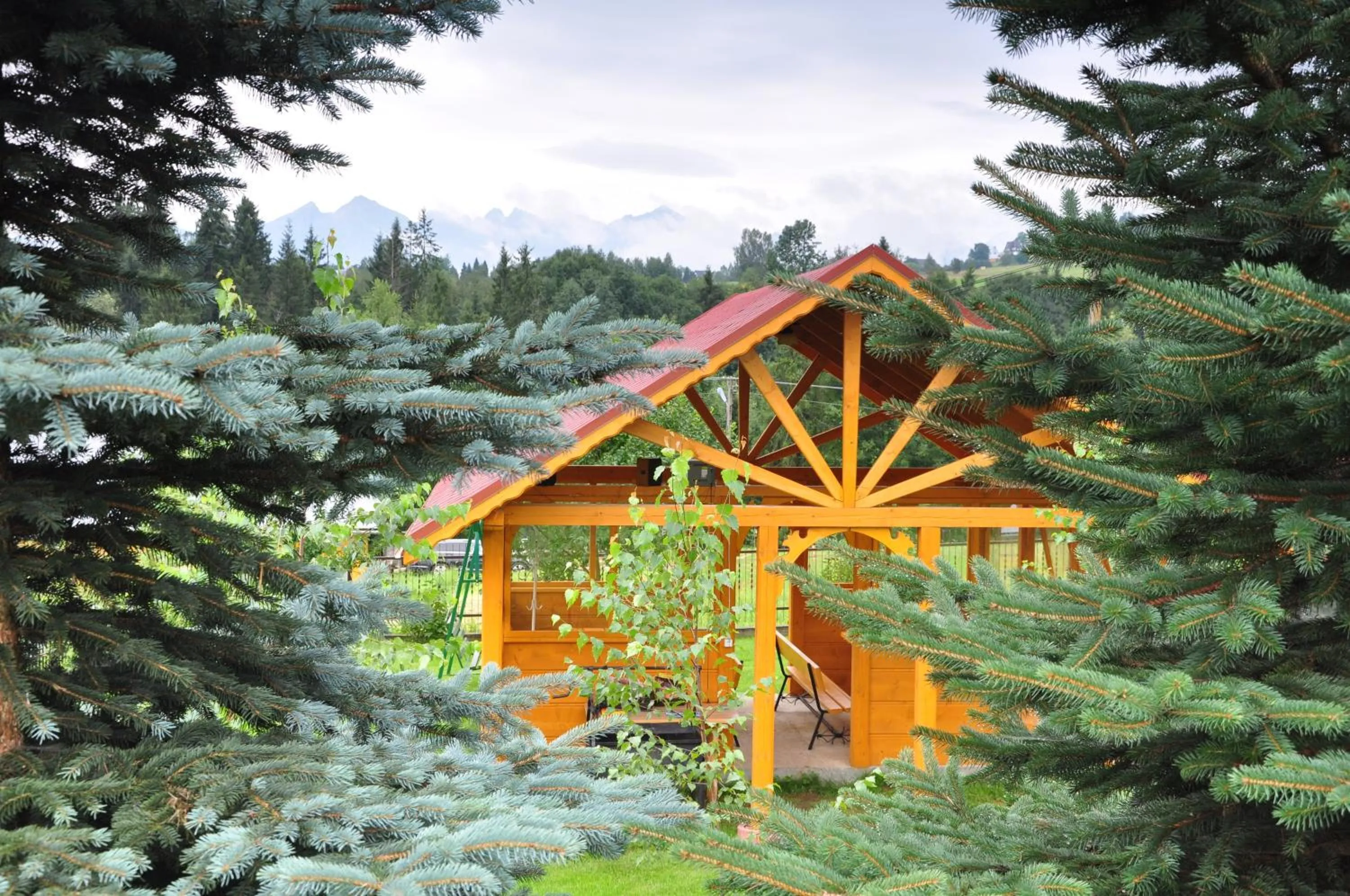 Garden in Pokoje gościnne u Komperdow pod wyciągiem narciarskim Kaniowka