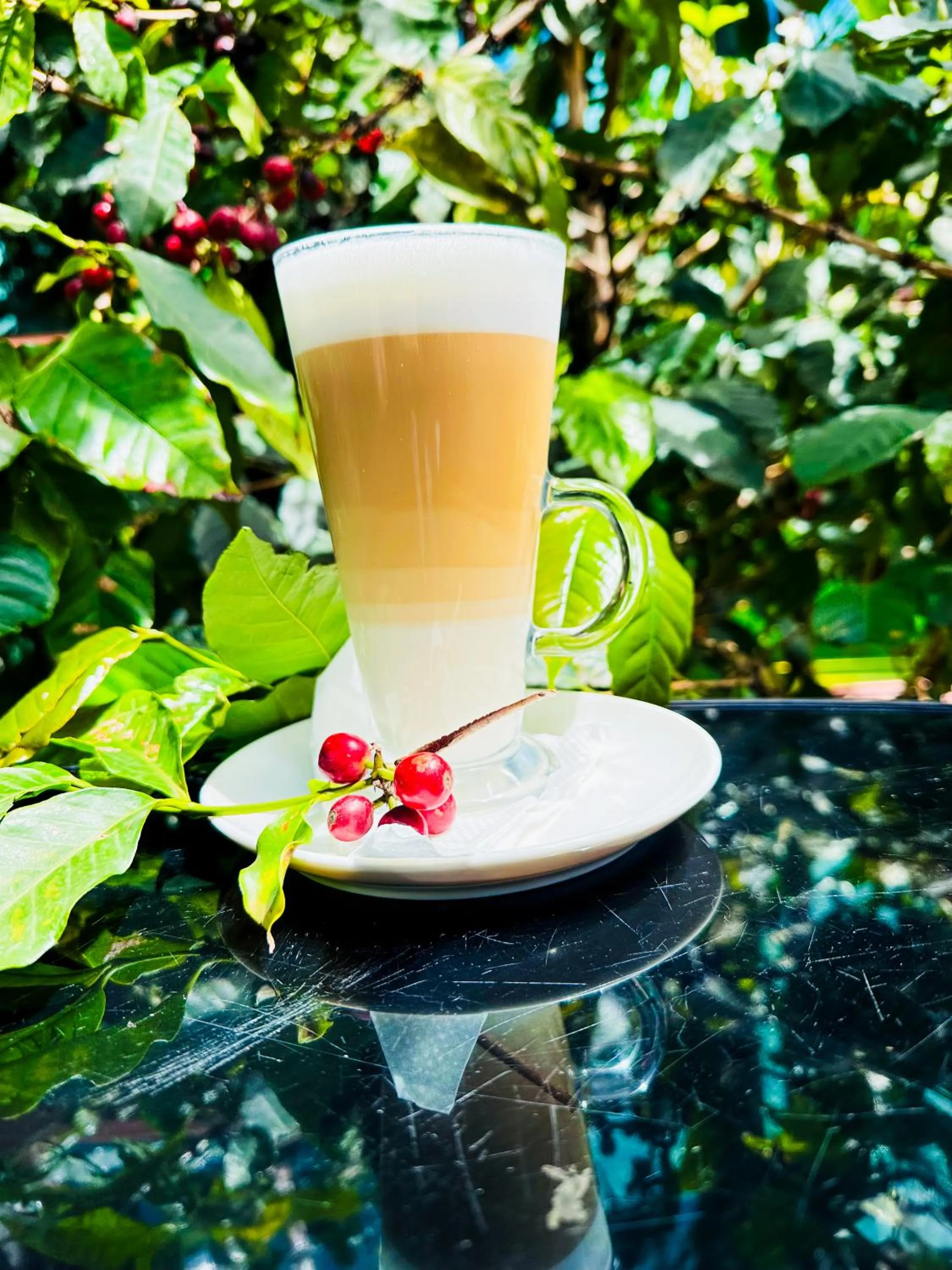 Restaurant/places to eat in Green Mountain Hotel