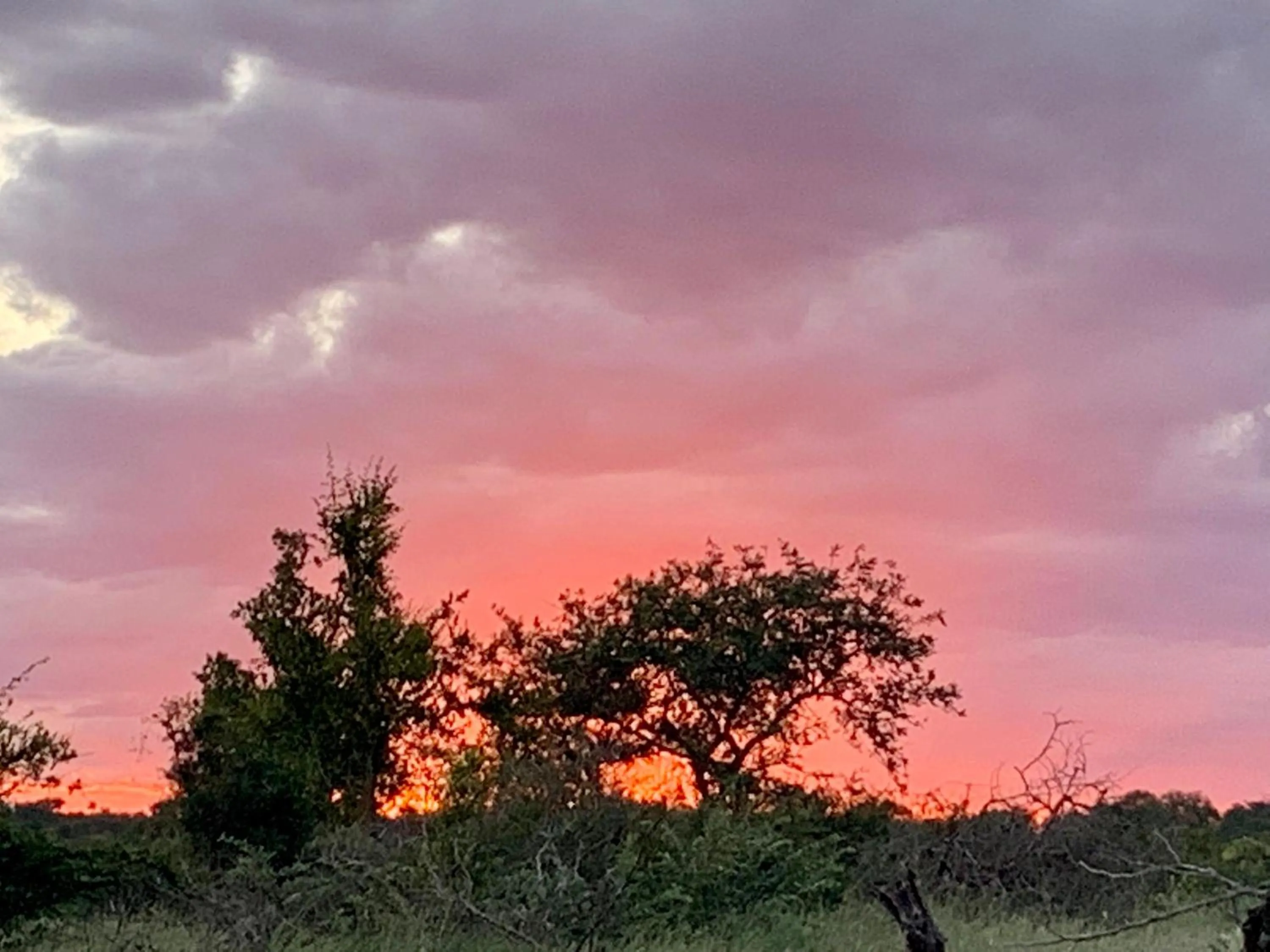 Natural landscape in Sausage Tree Safari Camp