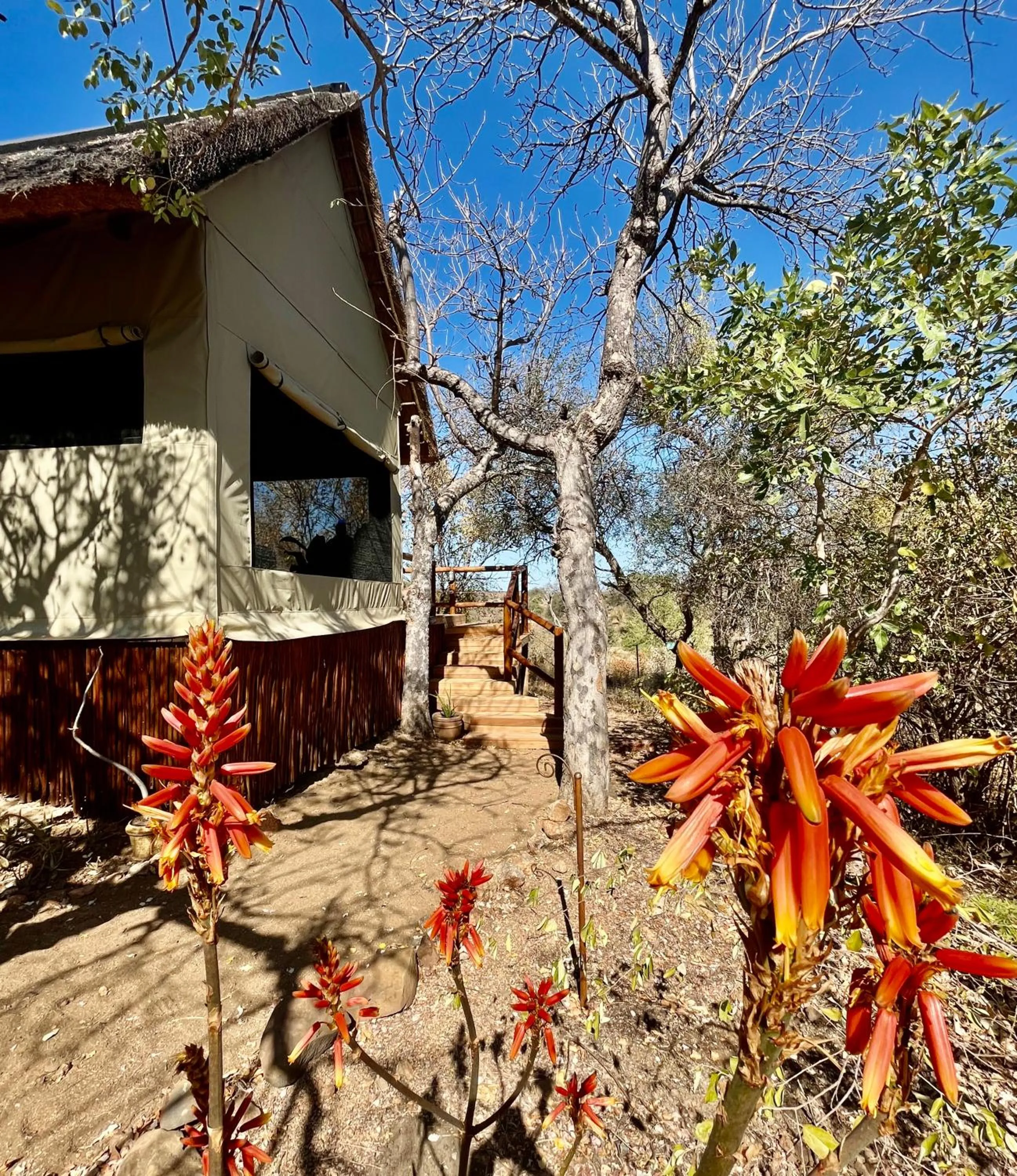 Property building in Sausage Tree Safari Camp
