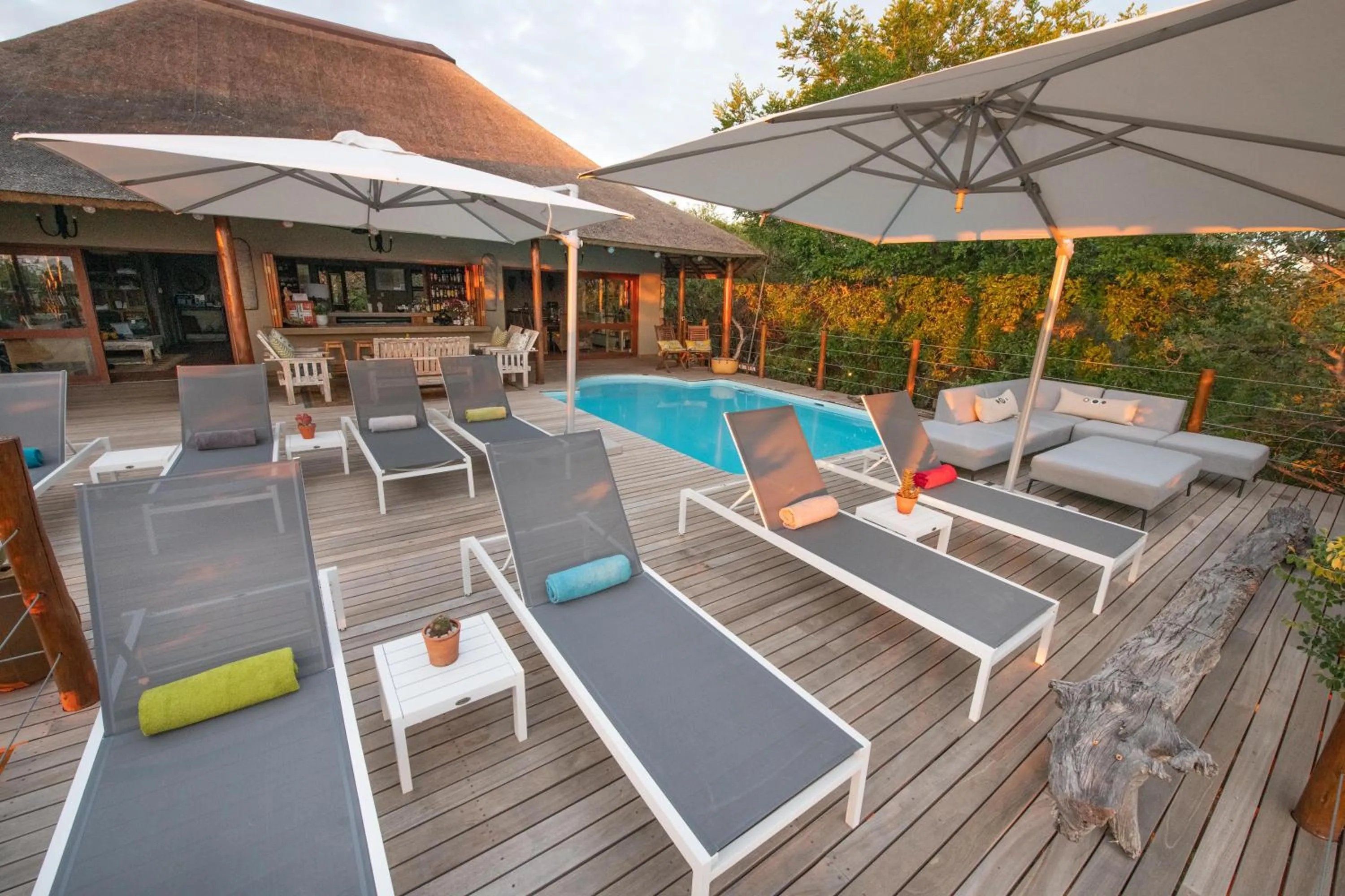 Balcony/Terrace in Sausage Tree Safari Camp