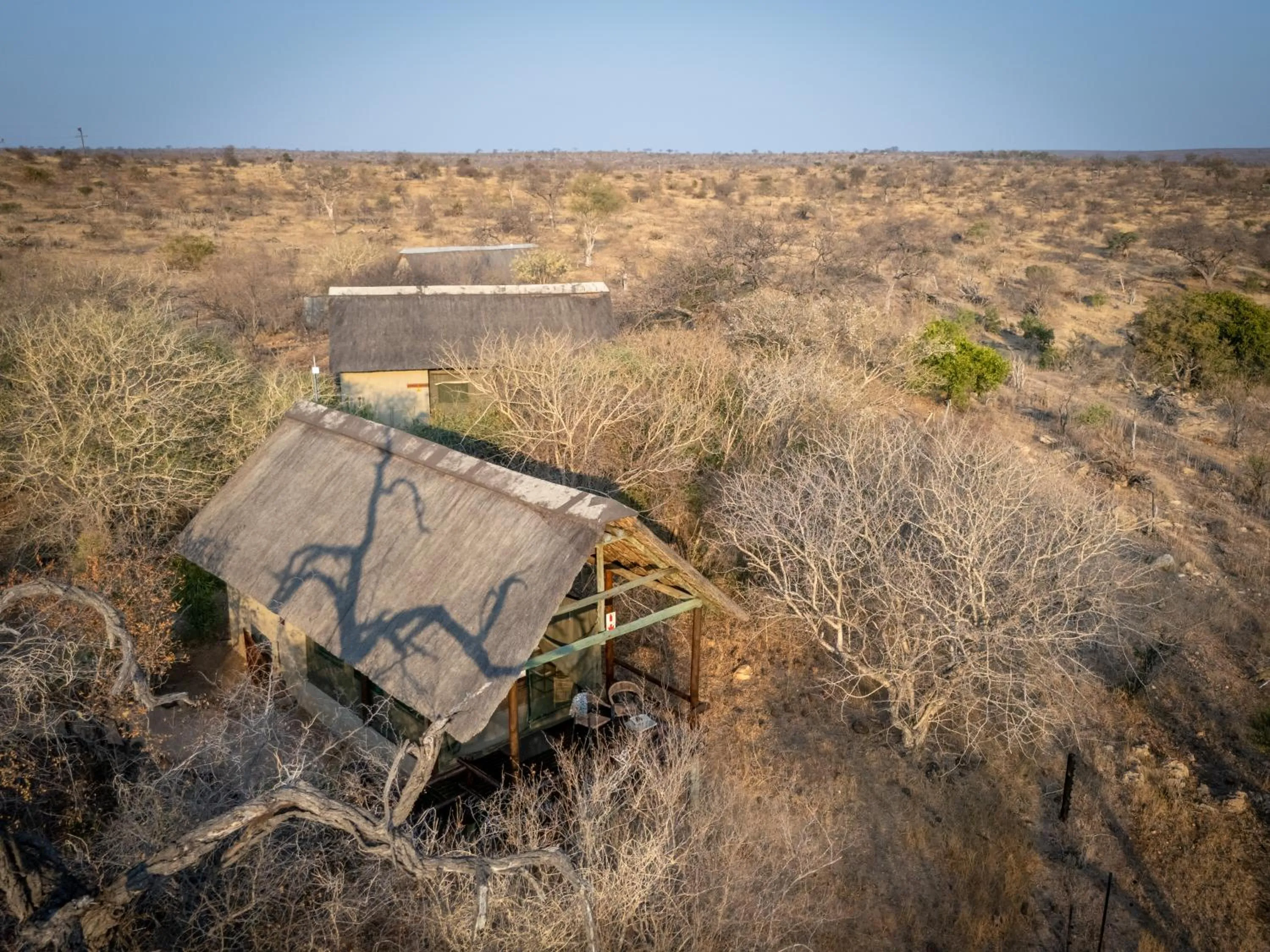 Property building in Sausage Tree Safari Camp