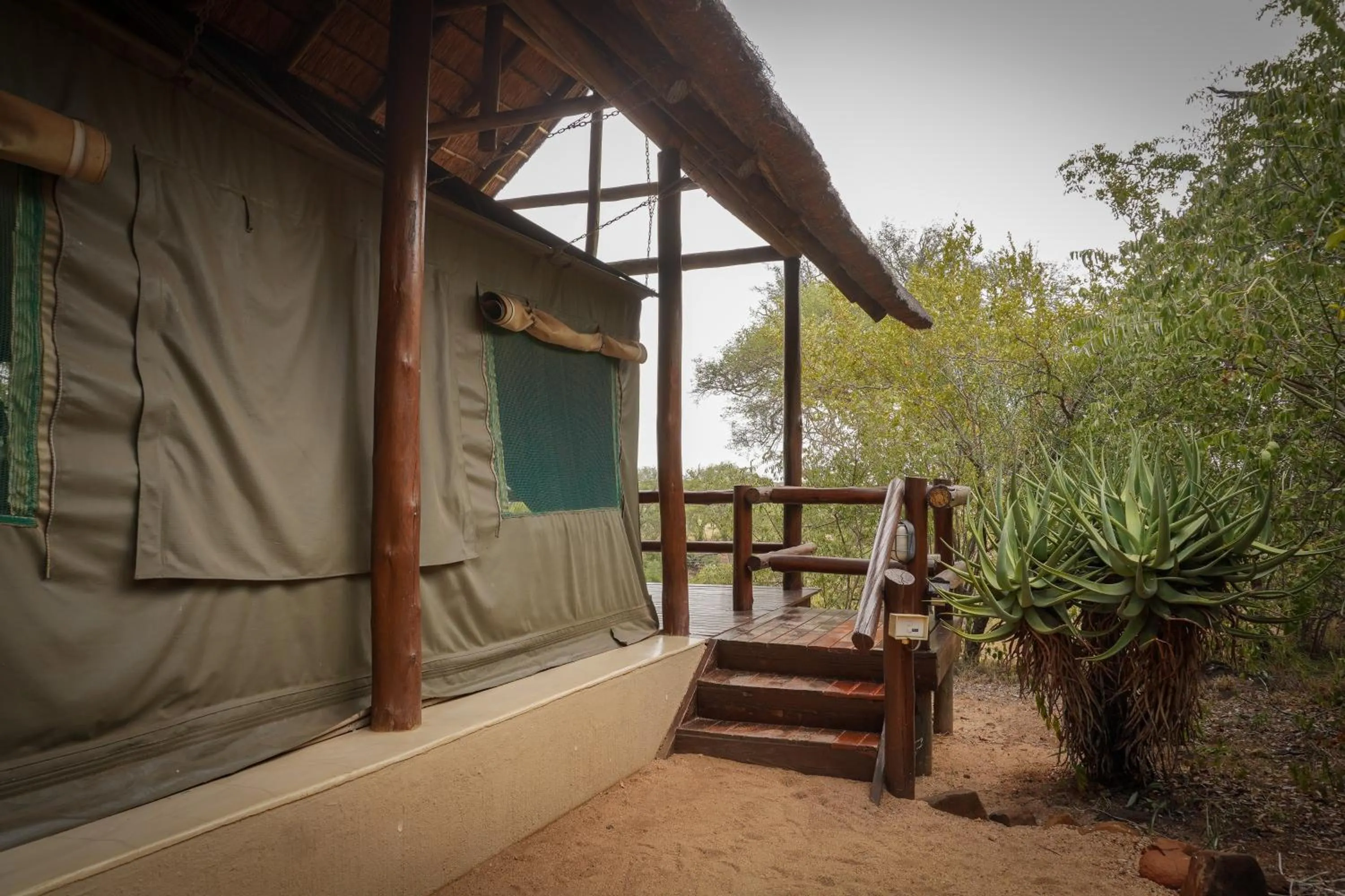 Property building in Sausage Tree Safari Camp