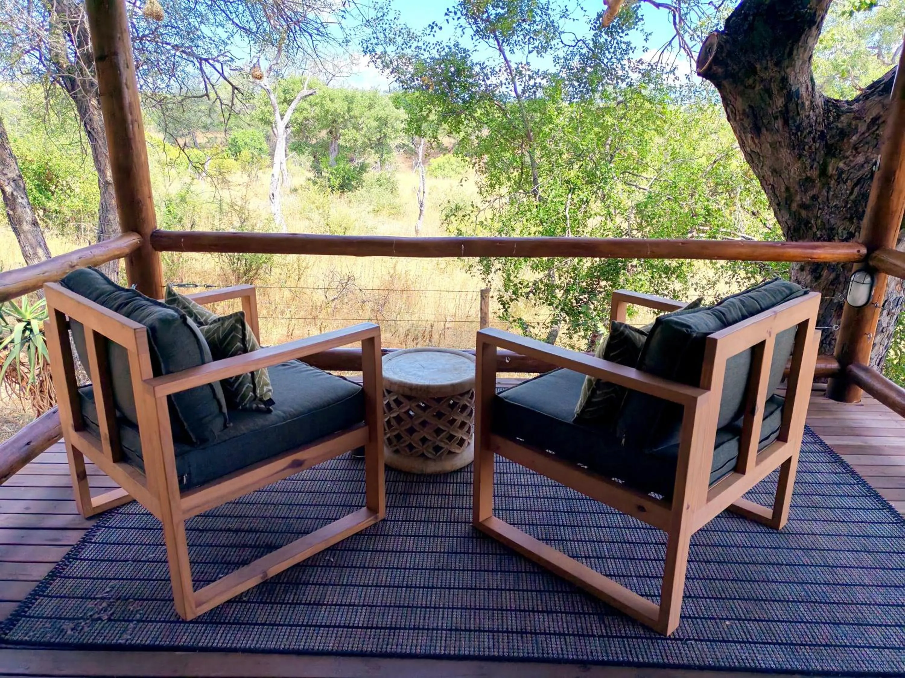 Balcony/Terrace in Sausage Tree Safari Camp