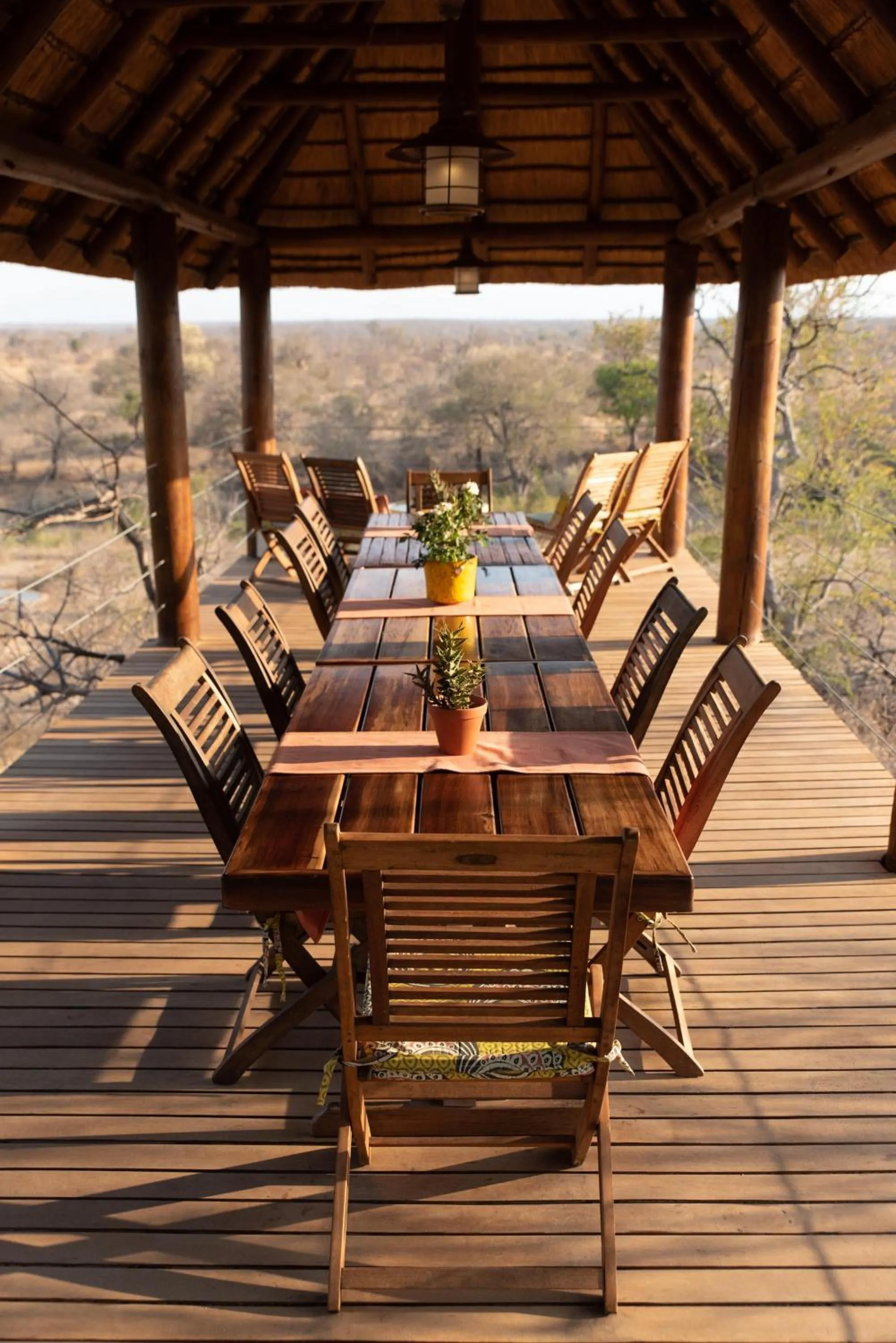 Balcony/Terrace in Sausage Tree Safari Camp