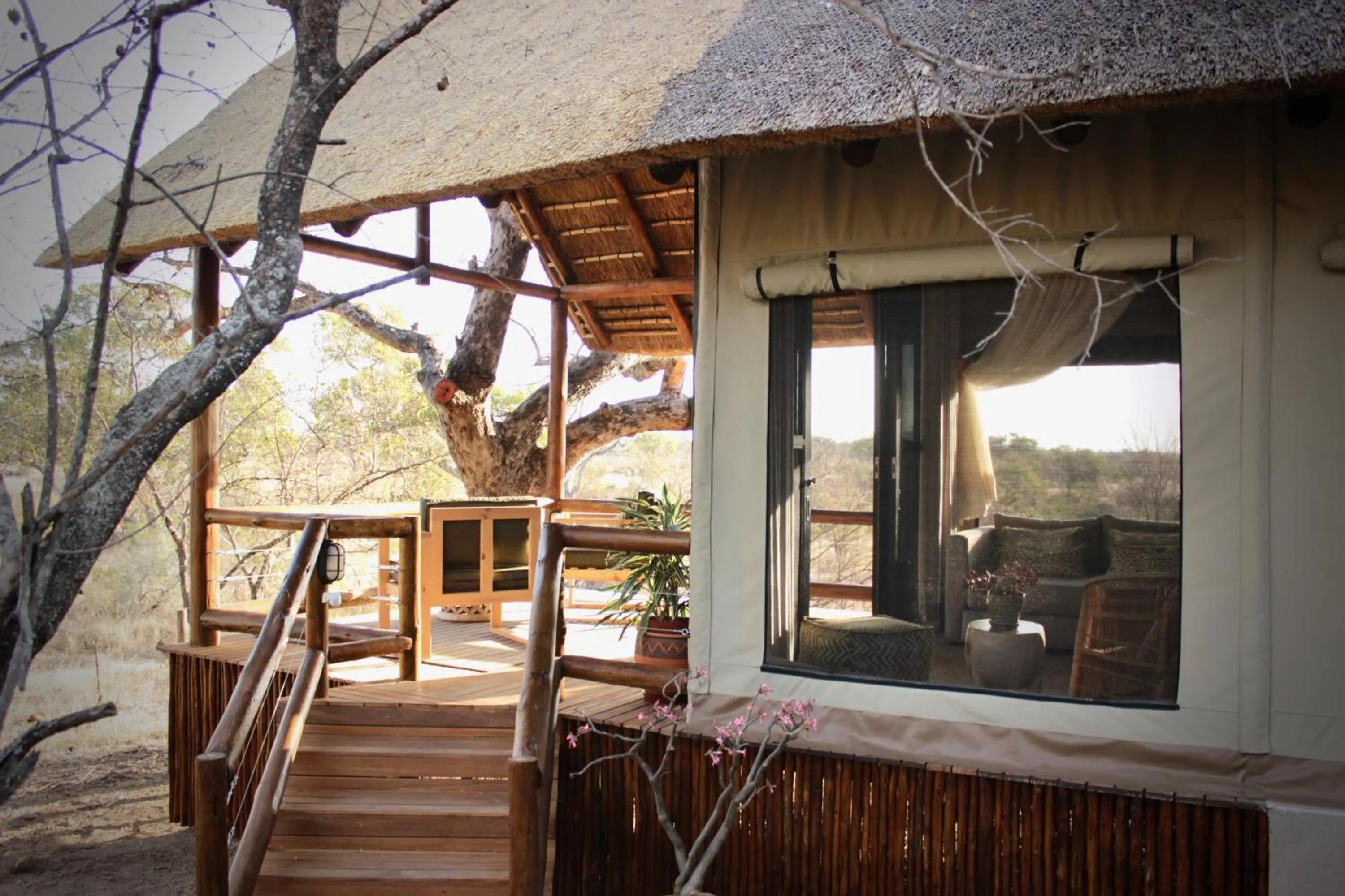 Property building in Sausage Tree Safari Camp