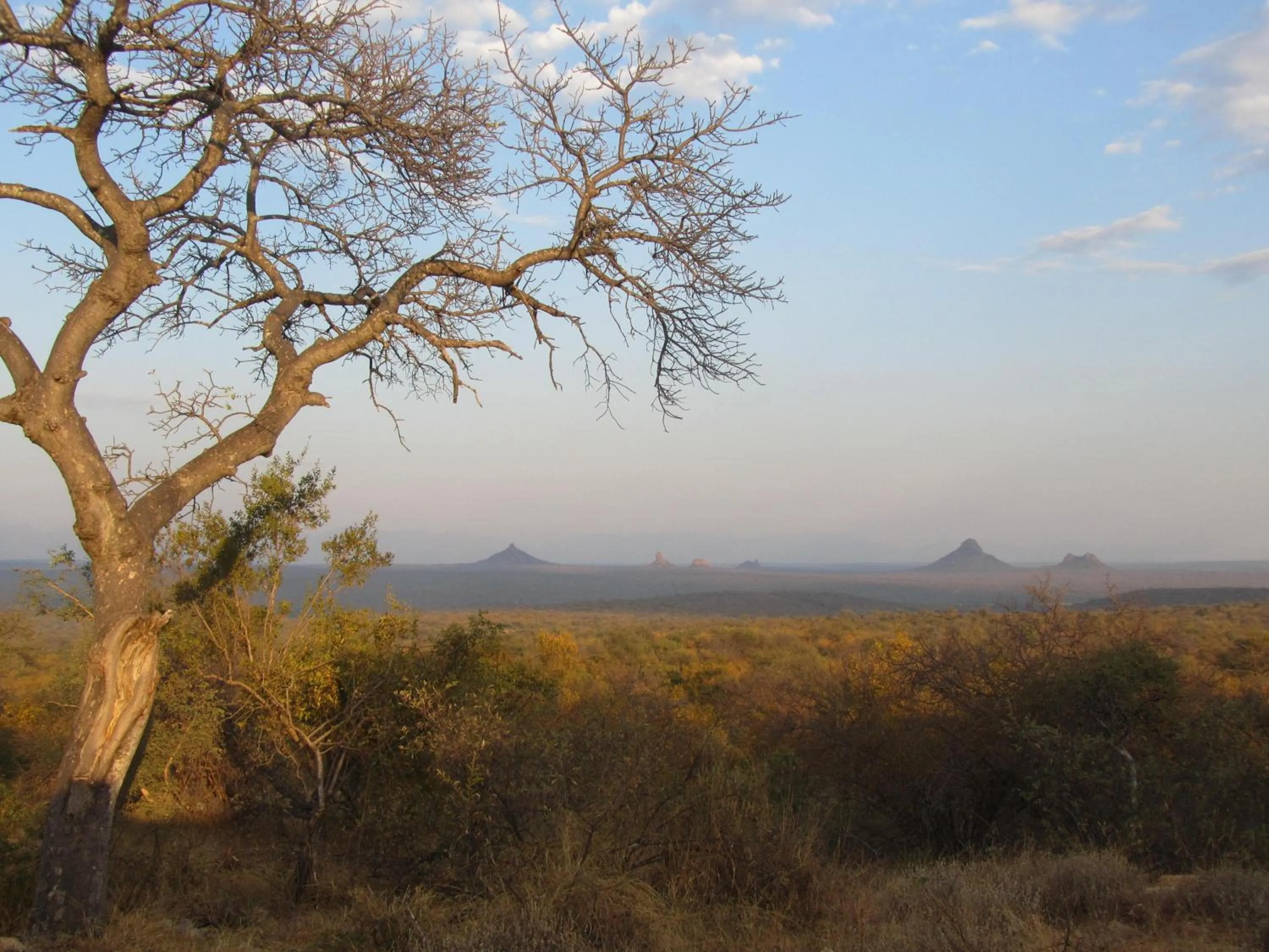 Natural landscape in Sausage Tree Safari Camp