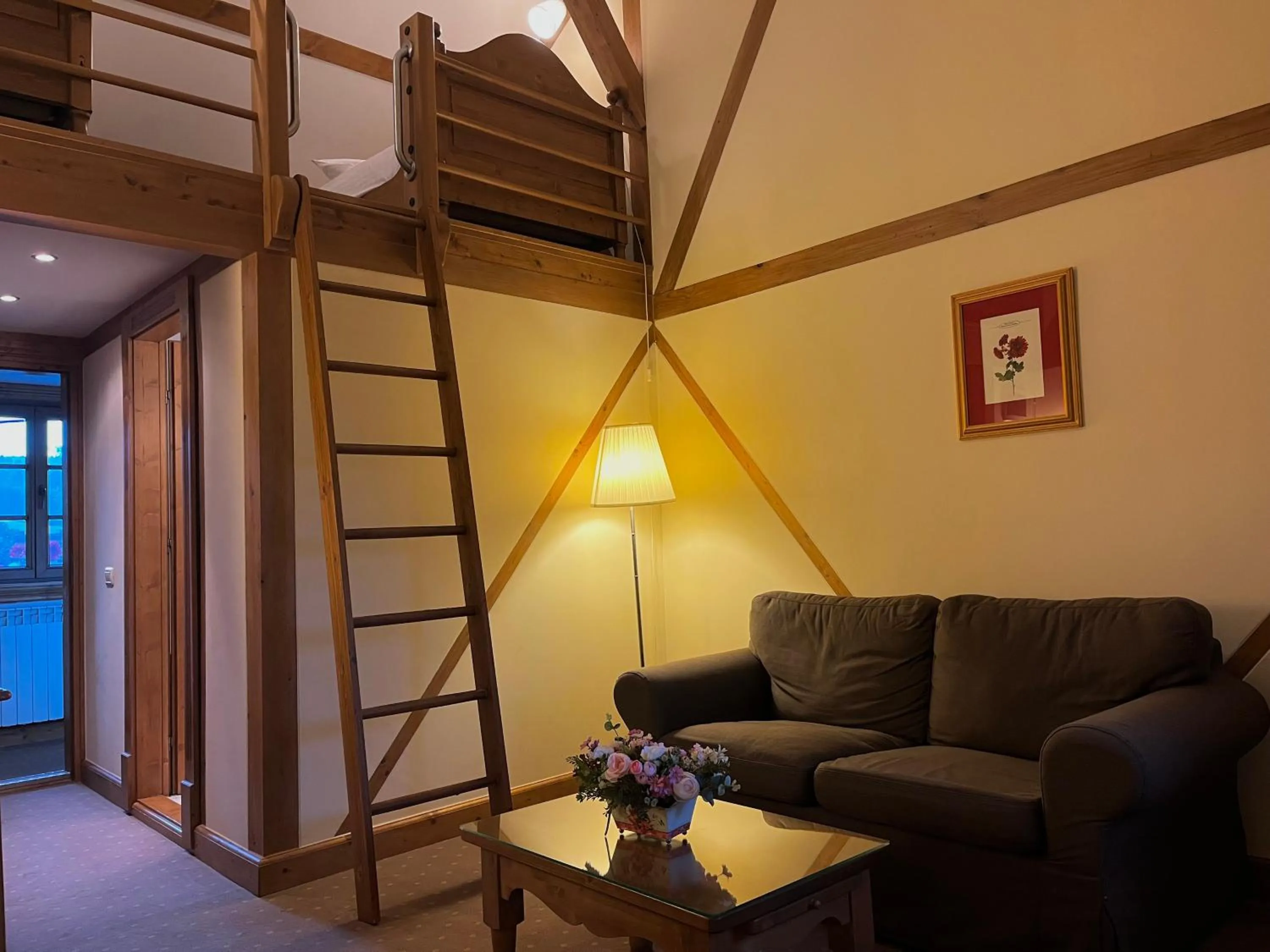 Living room in Pensiunea Tohanu Vechi