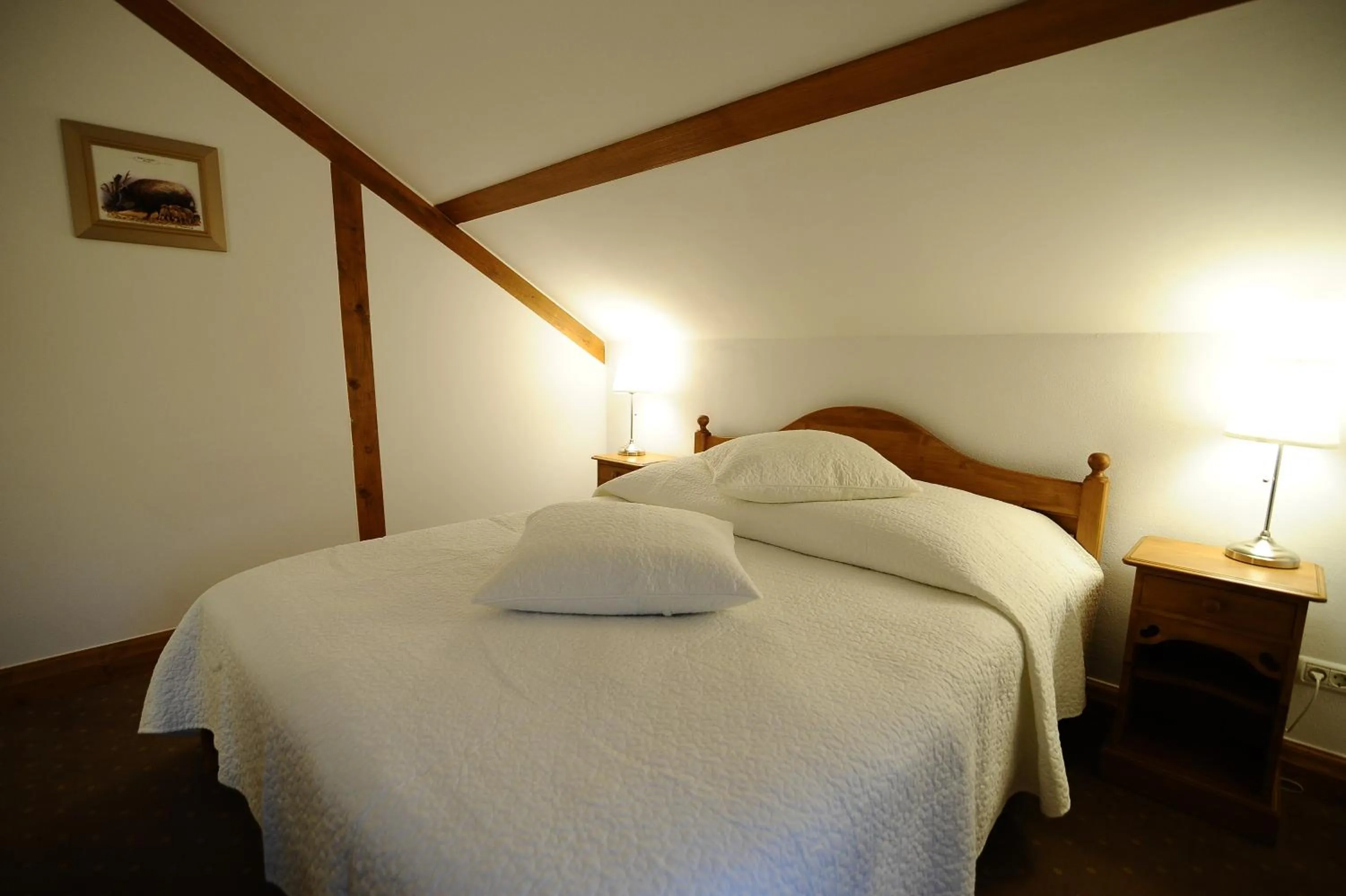 Double Room in Pensiunea Tohanu Vechi