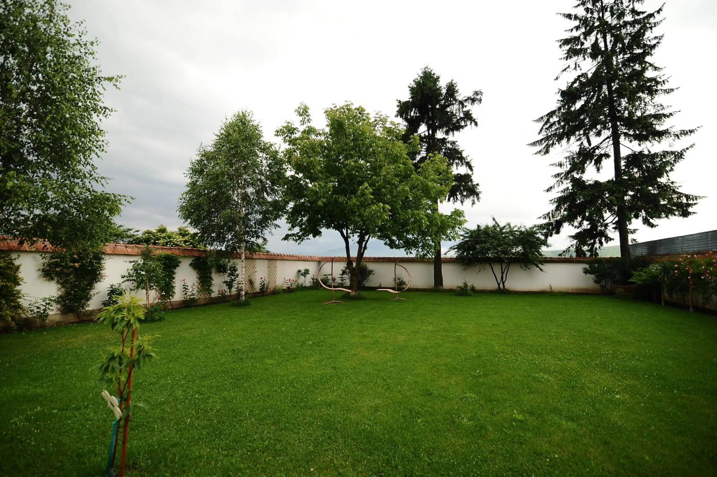 Garden in Pensiunea Tohanu Vechi