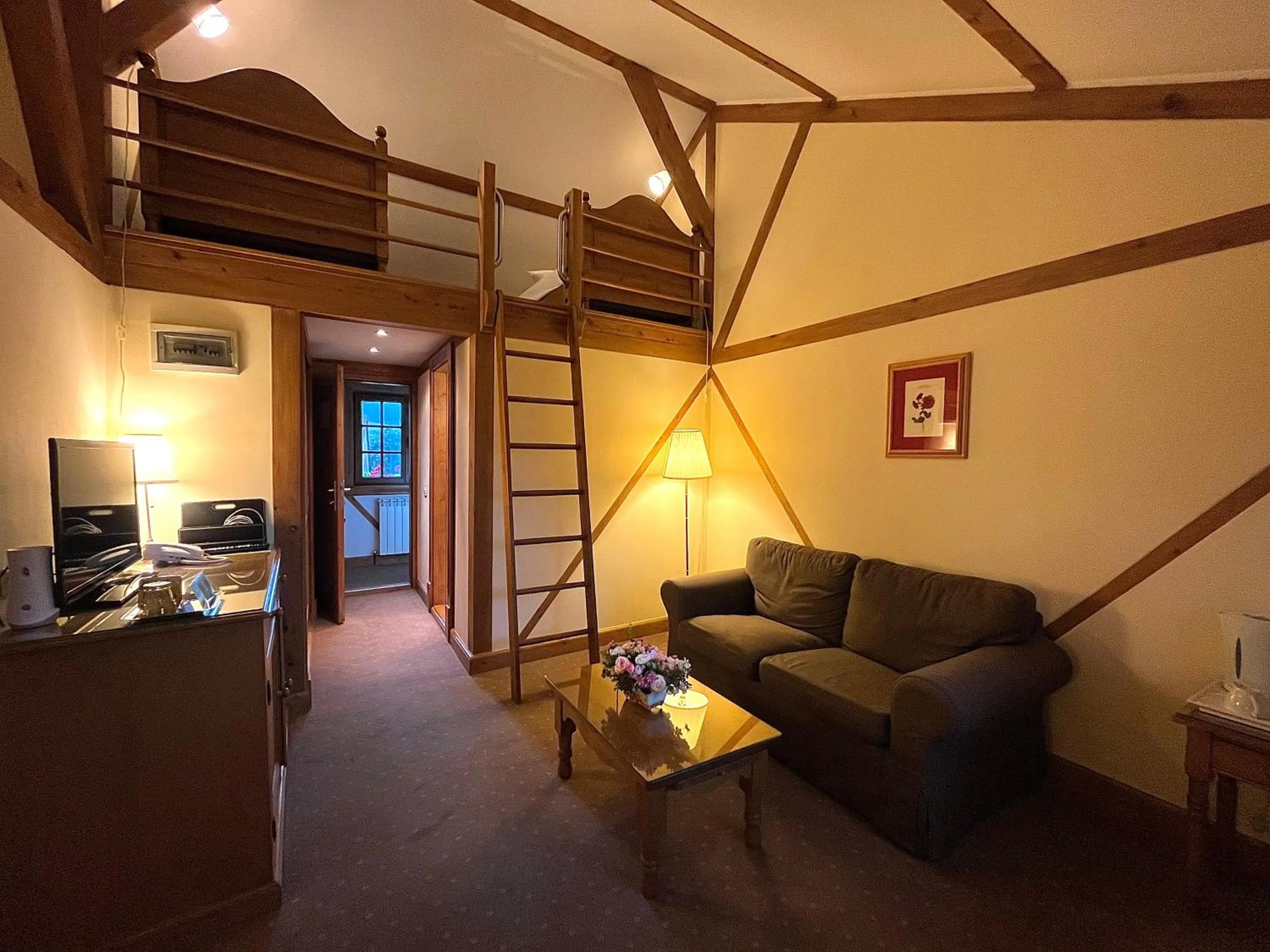 Living room in Pensiunea Tohanu Vechi