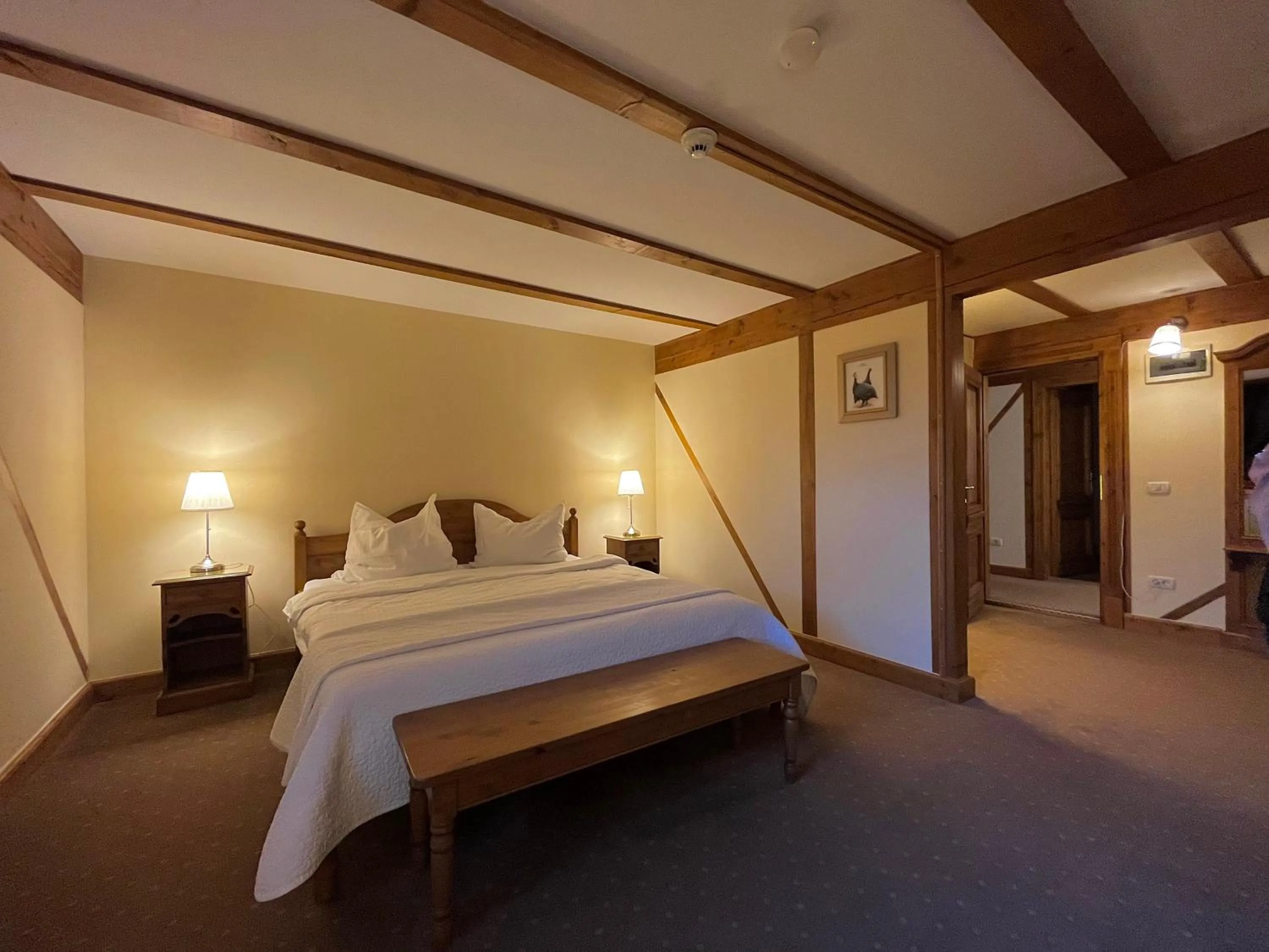 Photo of the whole room, Bed in Pensiunea Tohanu Vechi