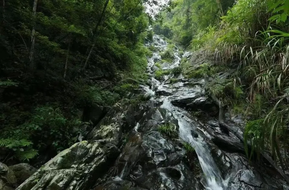 Natural landscape in Hilton Garden Inn Ganzhou Longnan