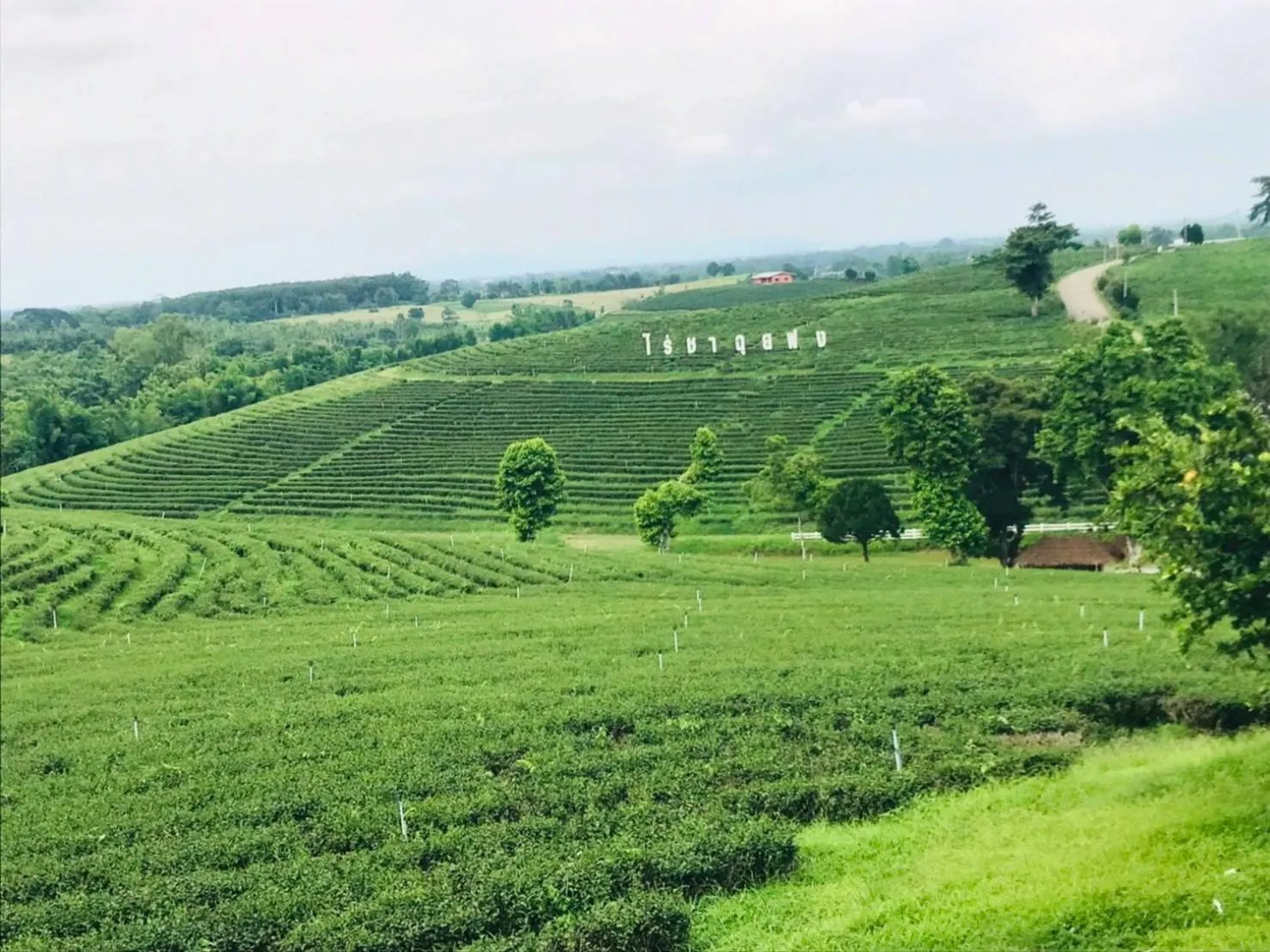 Property building in Saensukkho Hotel & Resort