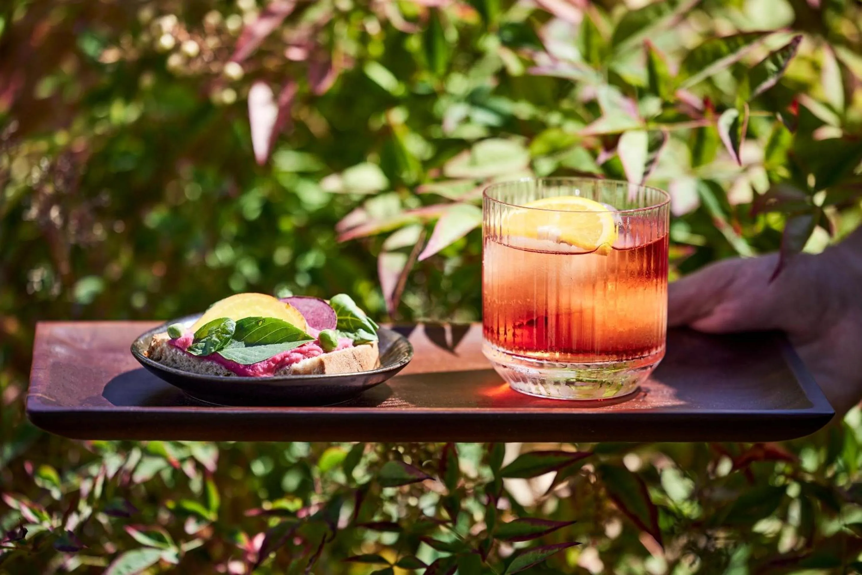 Lounge or bar in Ikos Olivia