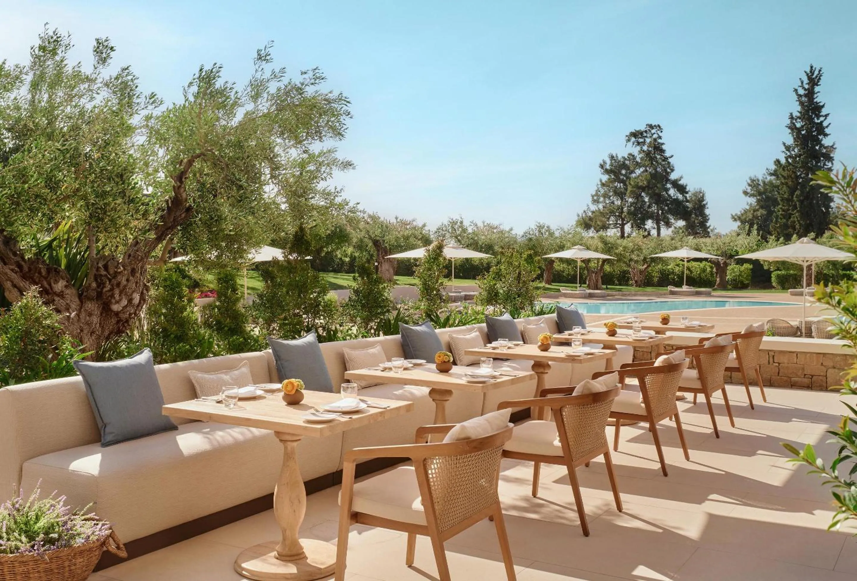 Restaurant/places to eat in Ikos Olivia