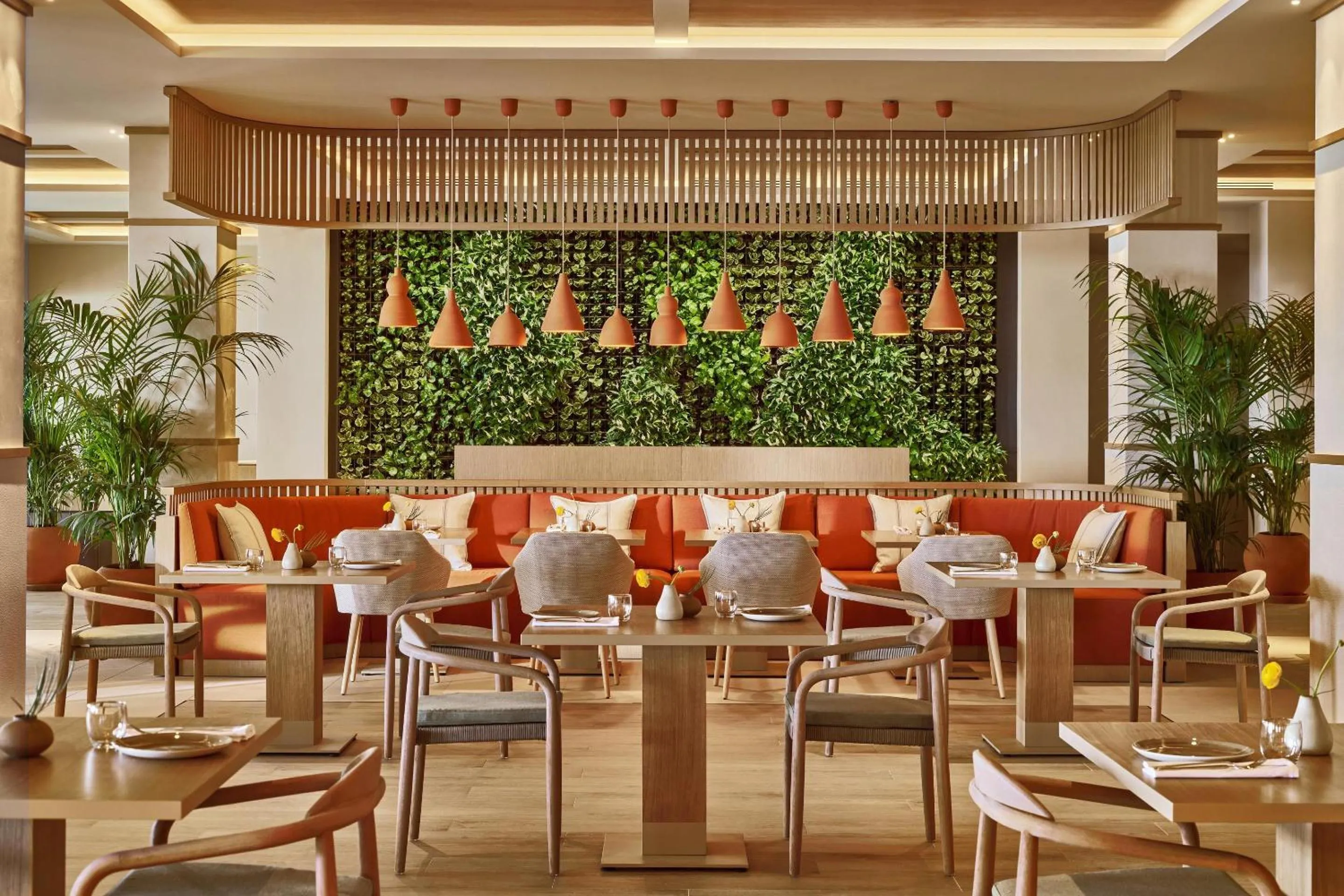 Restaurant/places to eat in Ikos Olivia