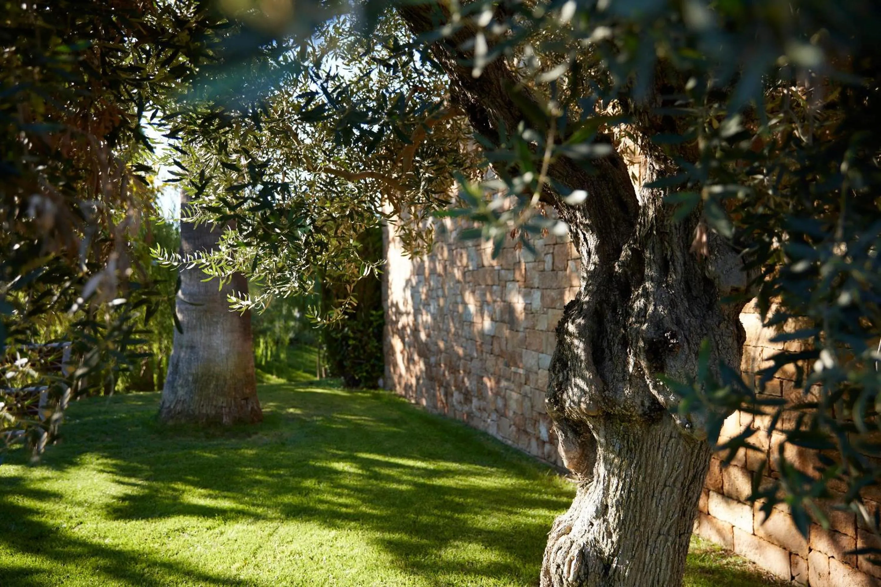 Garden in Ikos Olivia