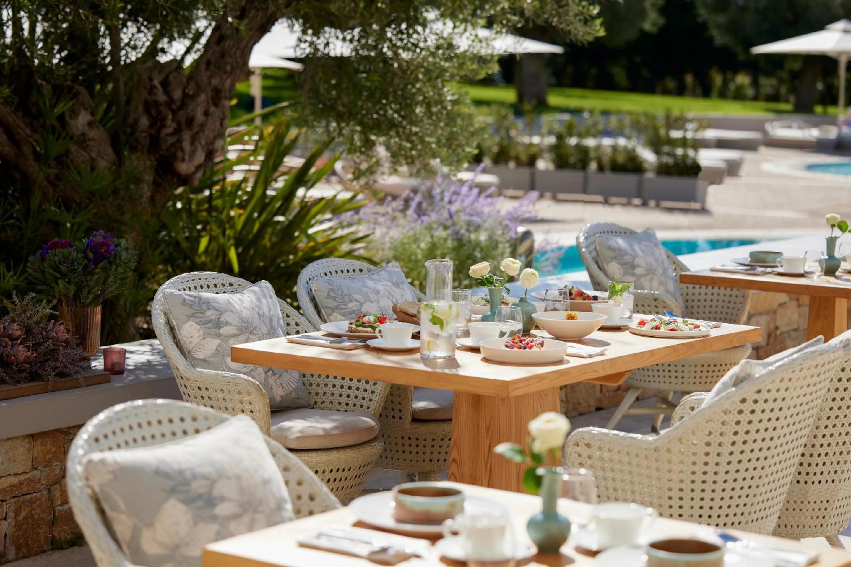 Restaurant/places to eat in Ikos Olivia