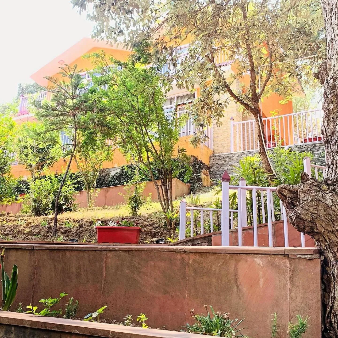 Garden view in Essence of Nature, Ranikhet