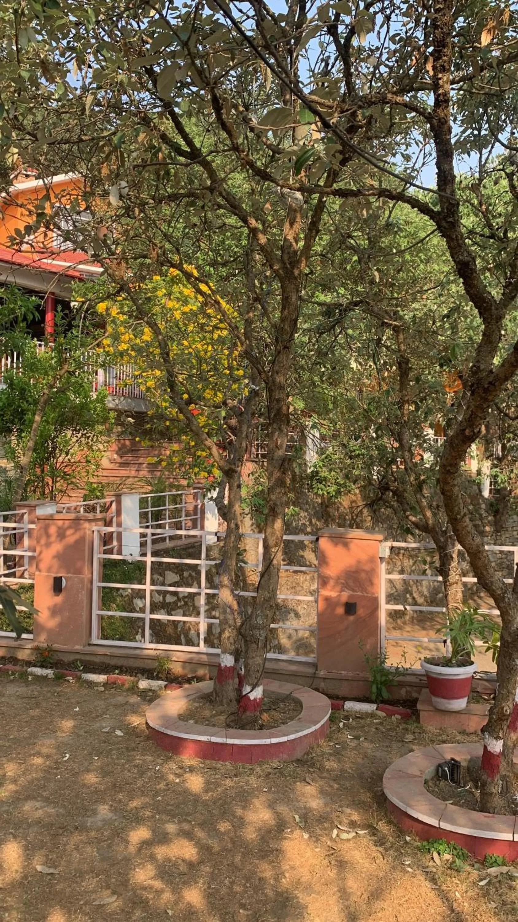 Garden view in Essence of Nature, Ranikhet