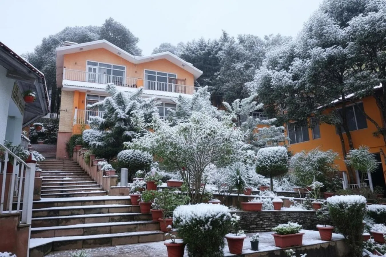 Winter in Essence of Nature, Ranikhet