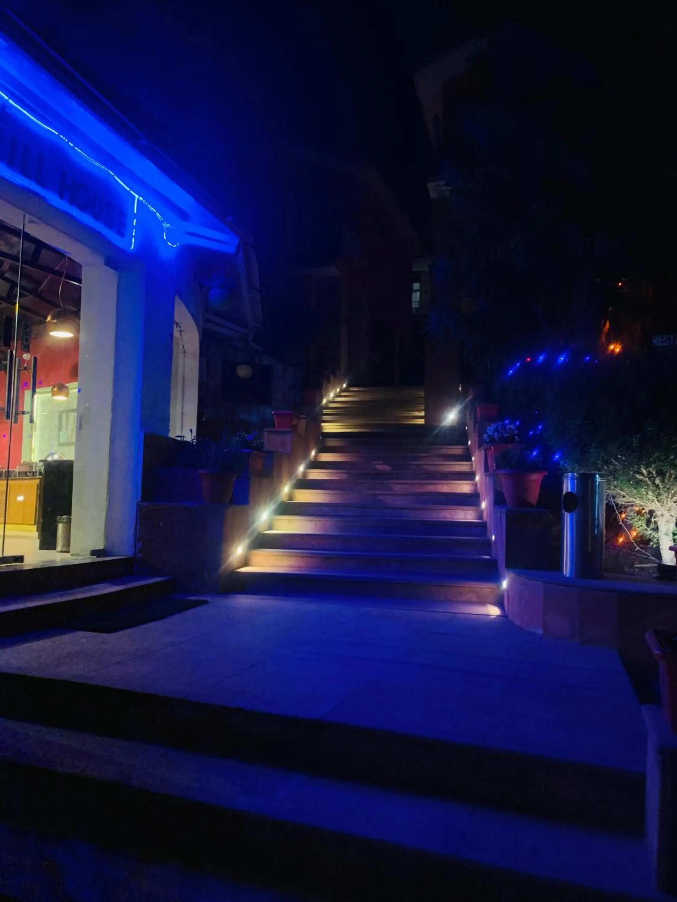 Night in Essence of Nature, Ranikhet