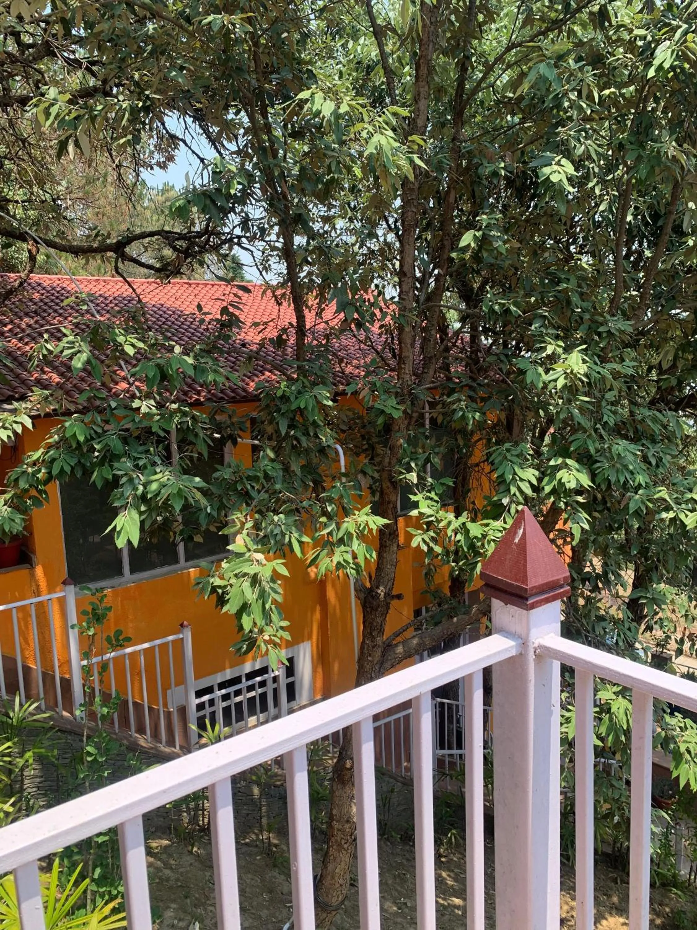 Property building in Essence of Nature, Ranikhet