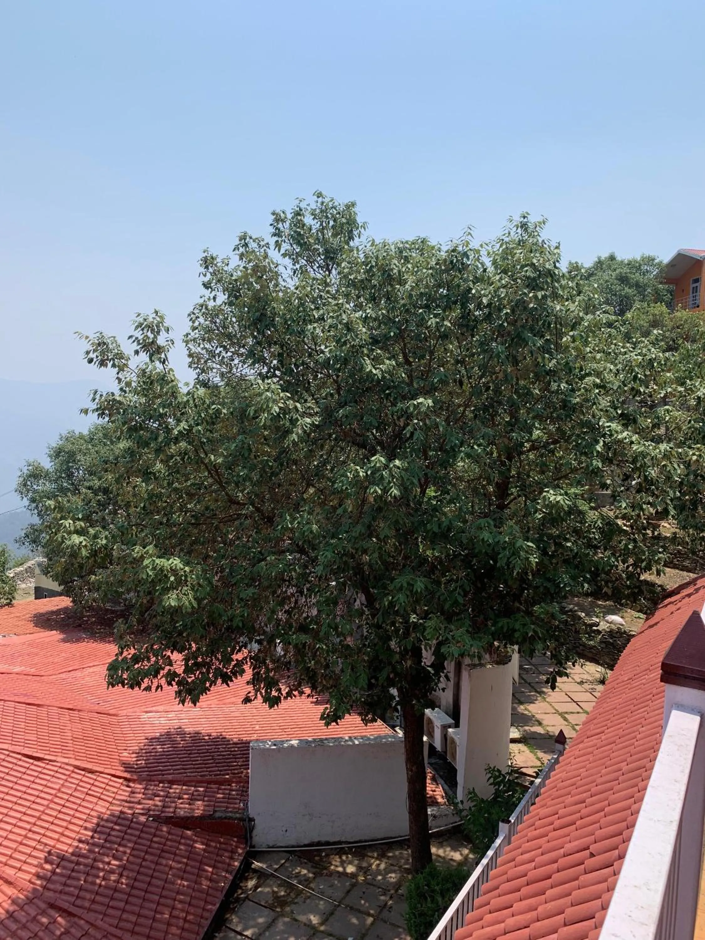 Property building in Essence of Nature, Ranikhet