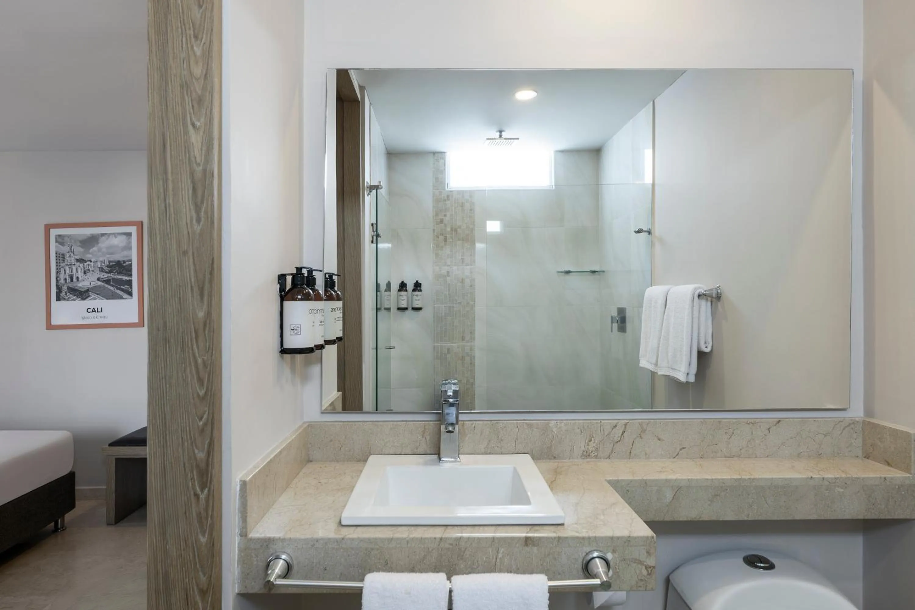 Shower in Hotel MS Ciudad Jardin