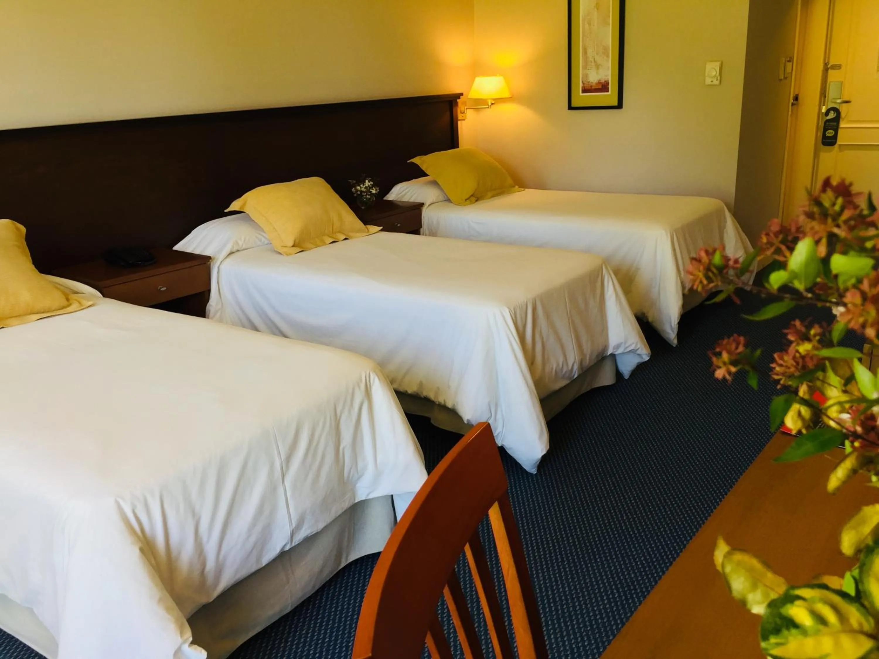 Photo of the whole room, Bed in San Miguel Plaza Hotel All Inclusive