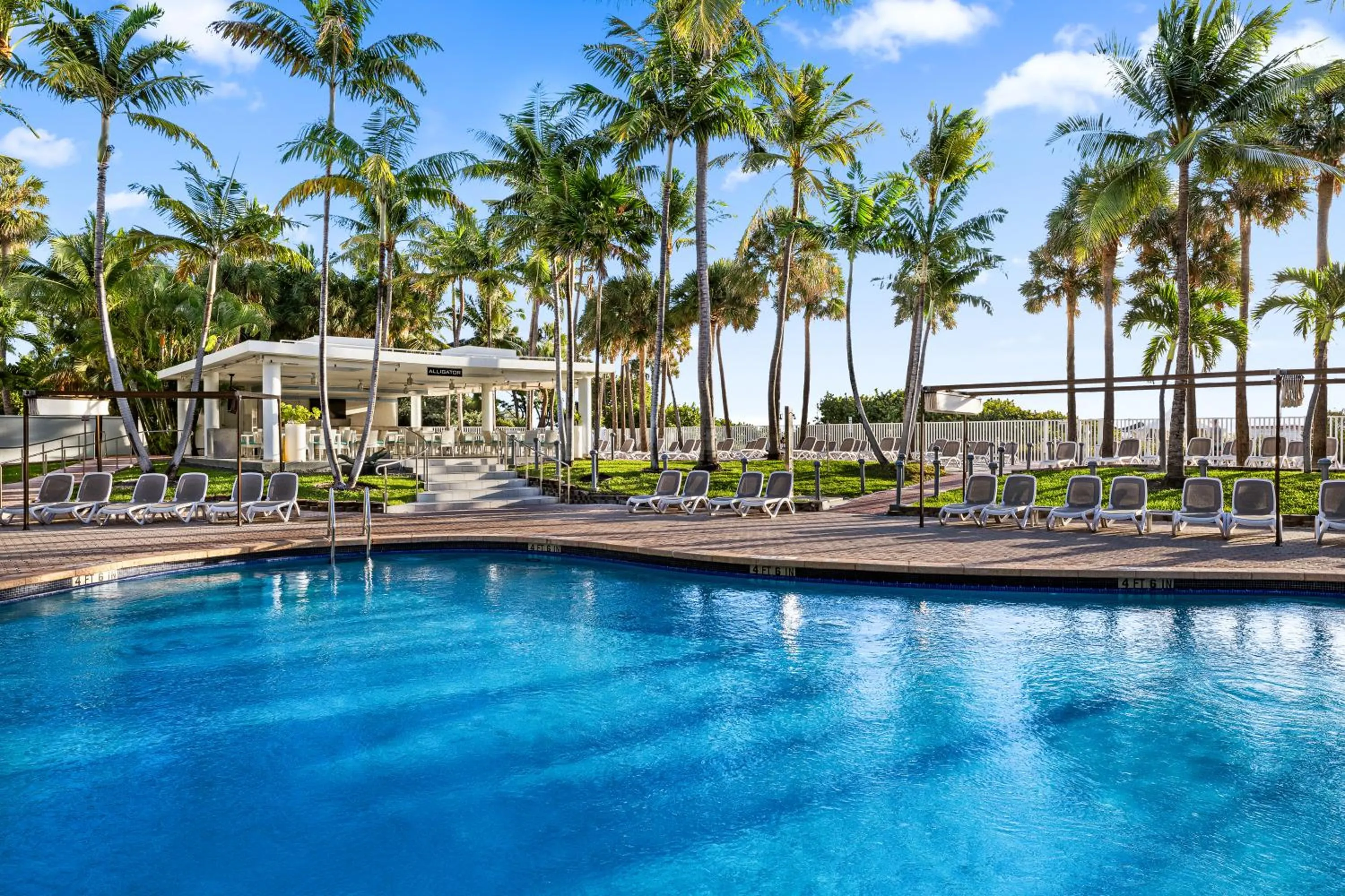 Garden in Riu Plaza Miami Beach