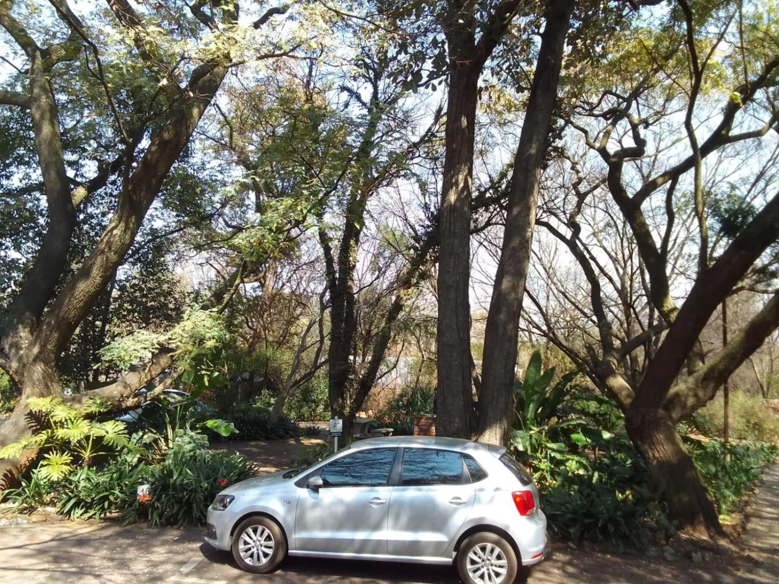 Garden in Lapalosa Lodge