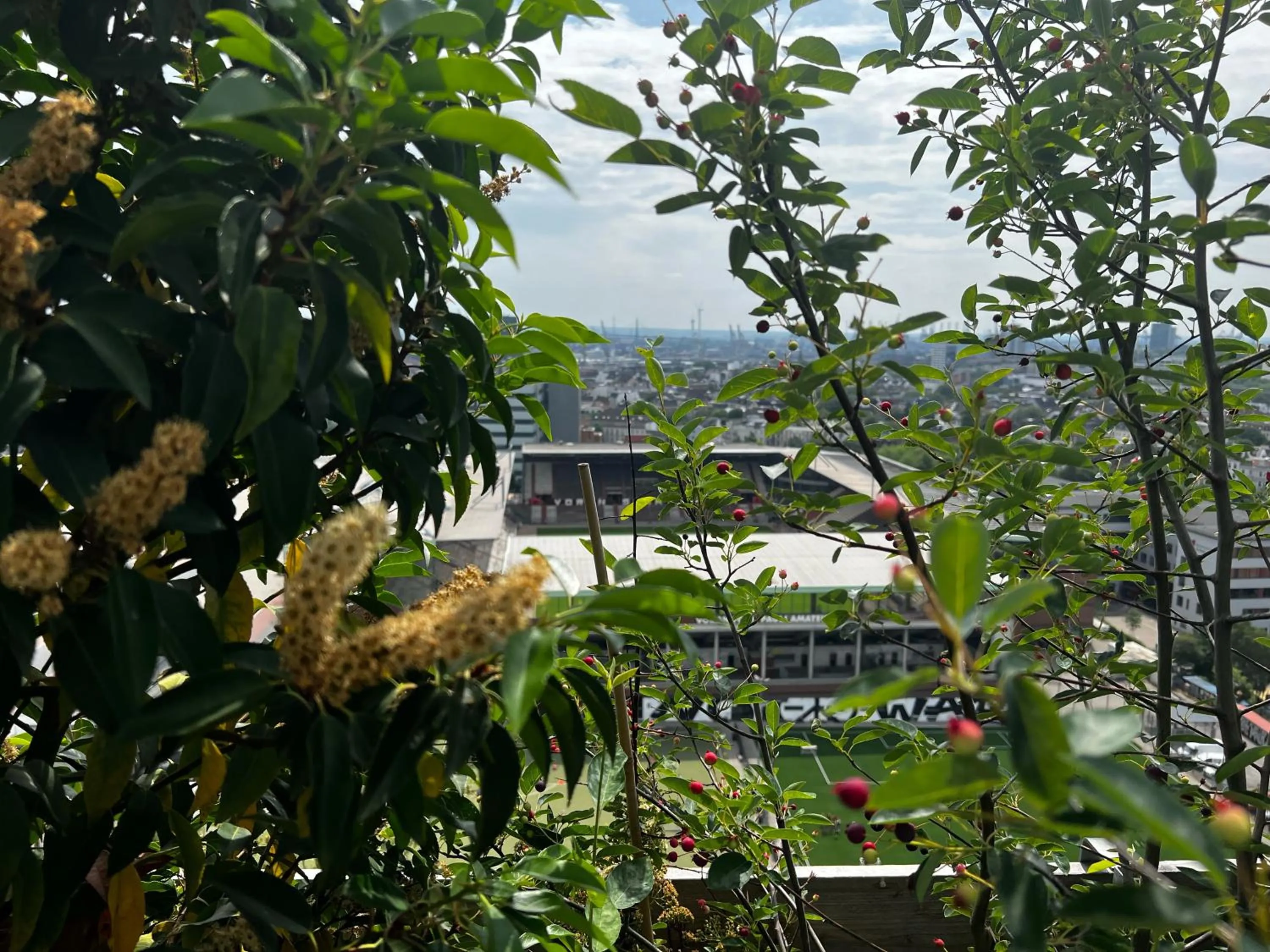 City view in REVERB by Hard Rock Hamburg