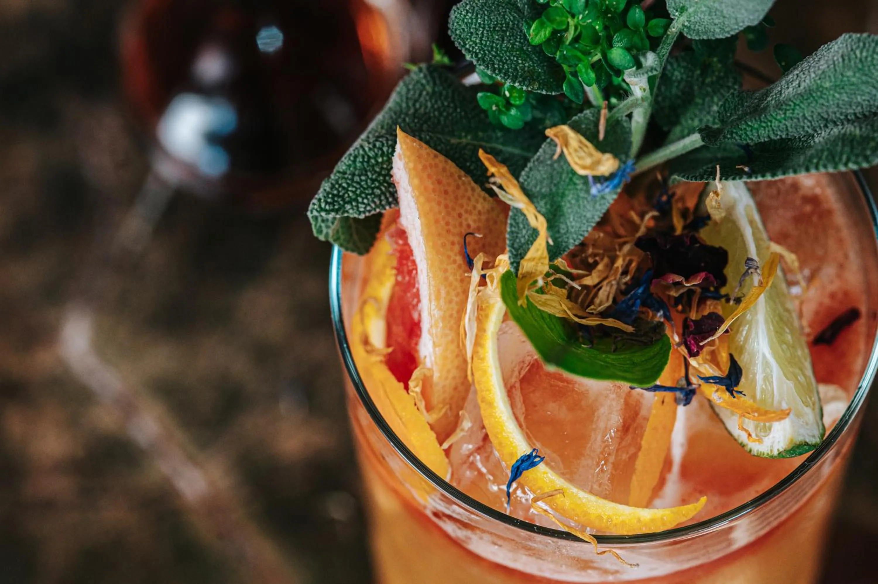 Drinks in Athenarum Portus Life & Style Hotel