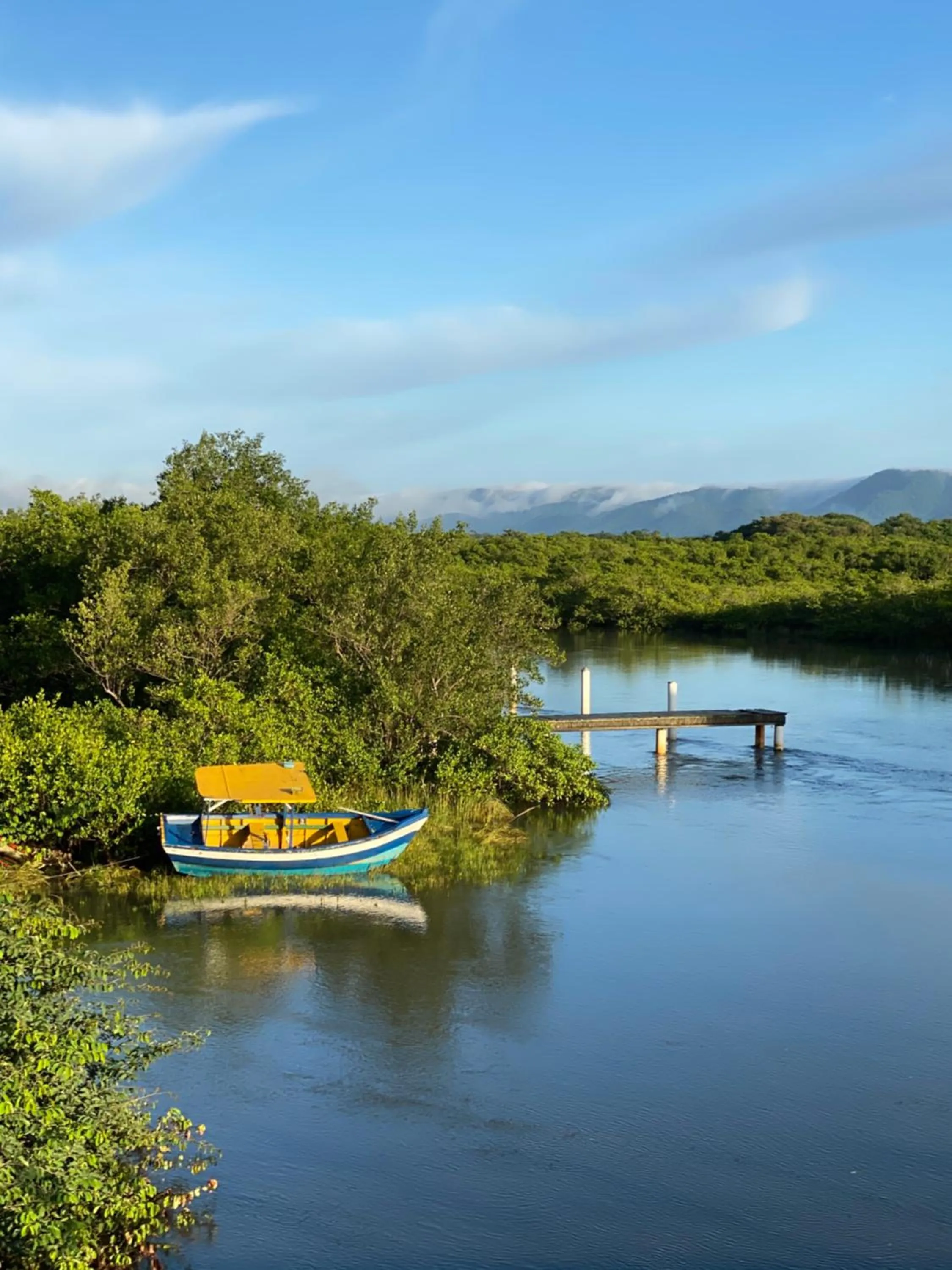 Natural landscape in Surfside Suites