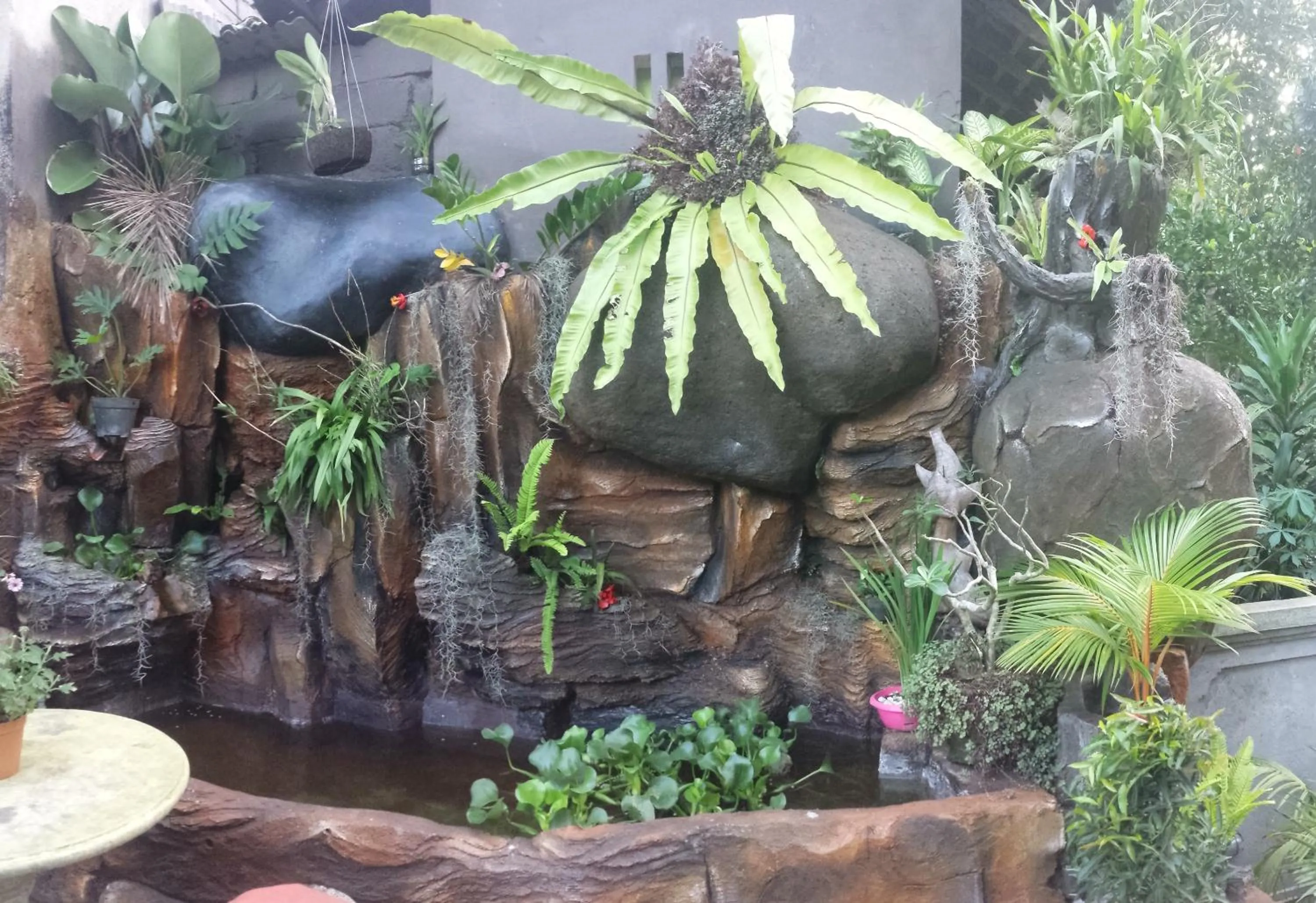 Pool view in Pancer House